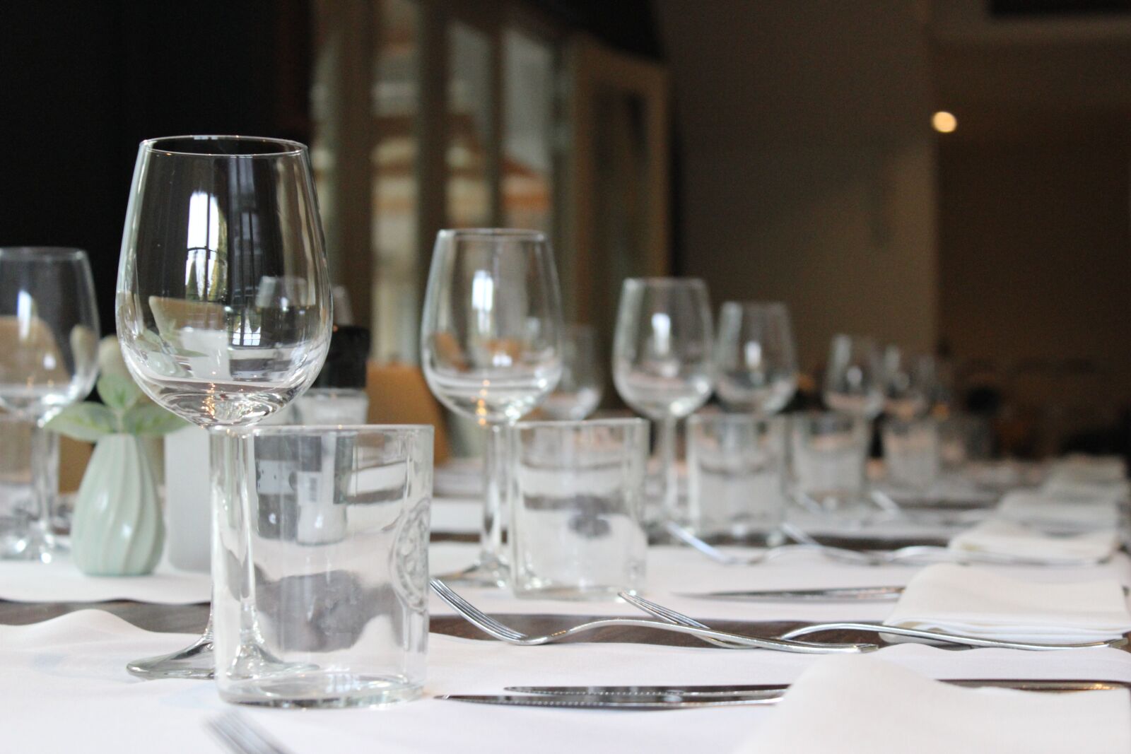 Canon EOS 600D (Rebel EOS T3i / EOS Kiss X5) sample photo. Business diner, table, diner photography