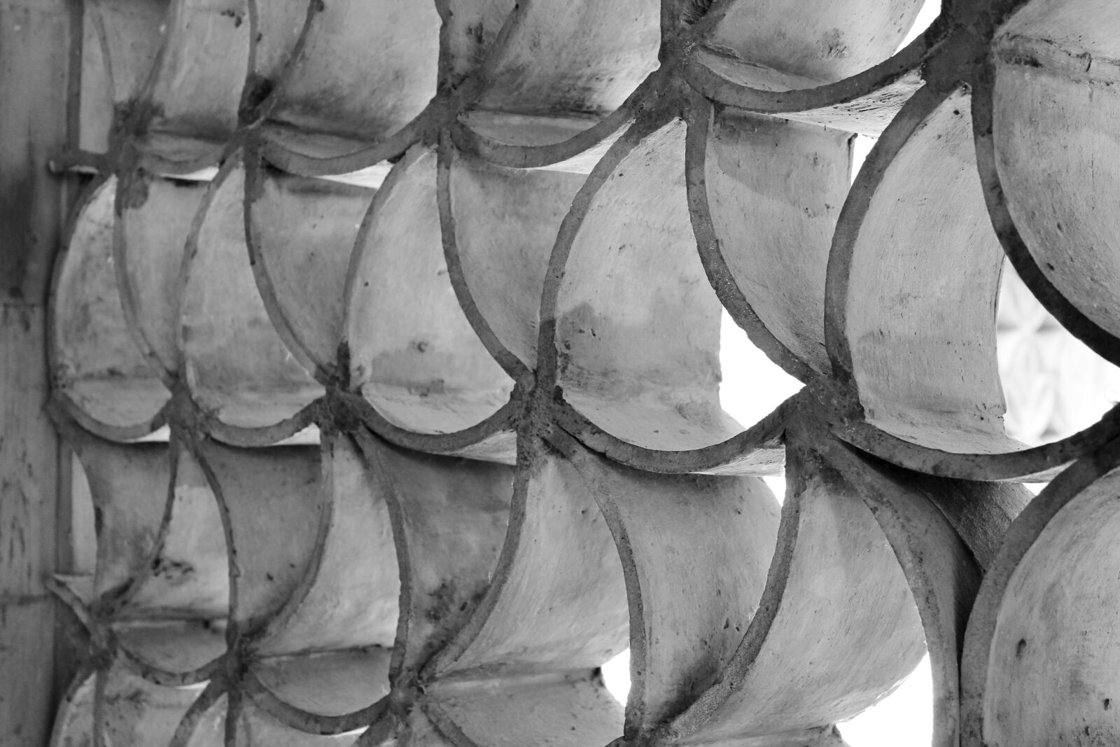 Canon EOS 600D (Rebel EOS T3i / EOS Kiss X5) sample photo. Pattern, black and white photography