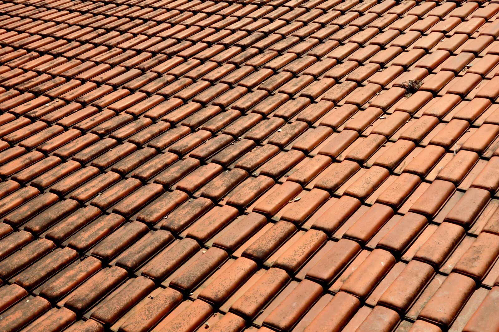 Nikon D90 sample photo. Inclined clay roof, tiles photography