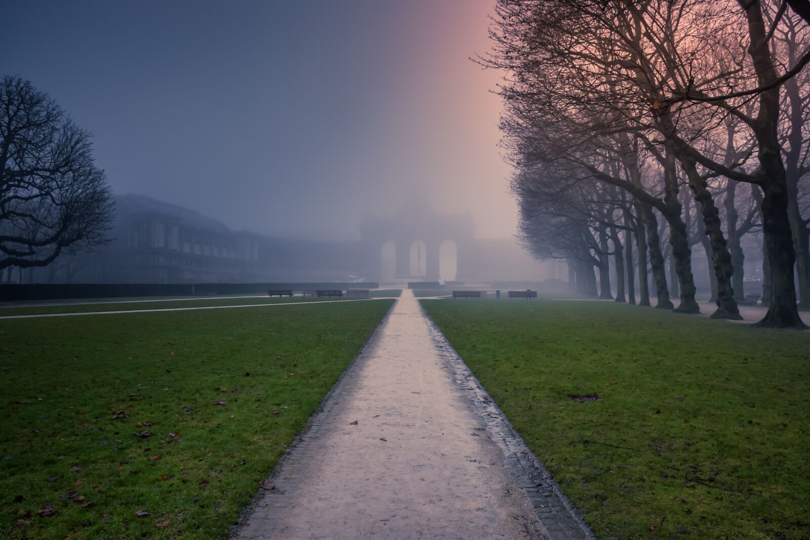 Nikon D5300 sample photo. Park, morning, sun photography