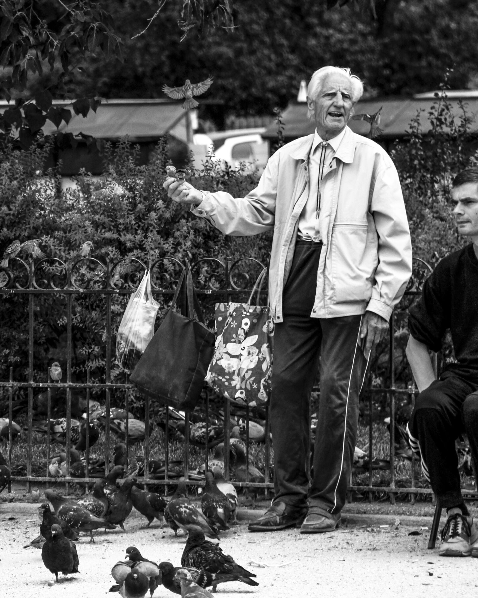 Canon EOS 7D sample photo. Birds, paris, oldman photography