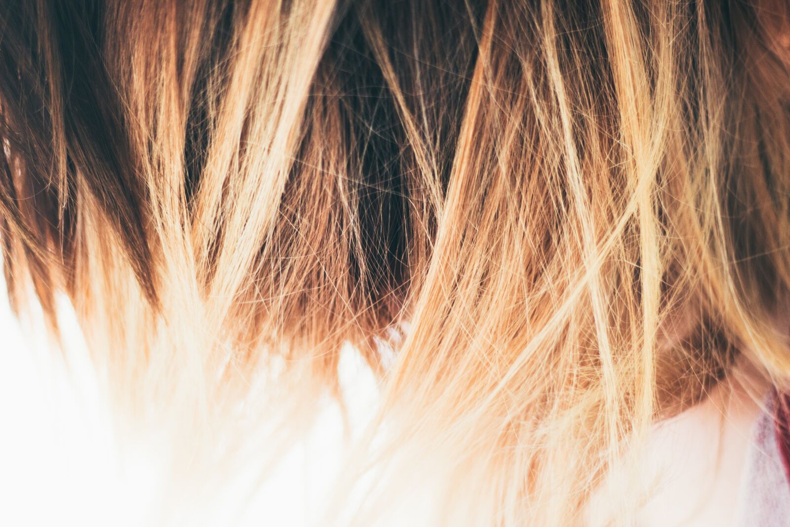 Canon EOS 600D (Rebel EOS T3i / EOS Kiss X5) + Canon EF 50mm F1.8 II sample photo. Blonde, color, hair photography
