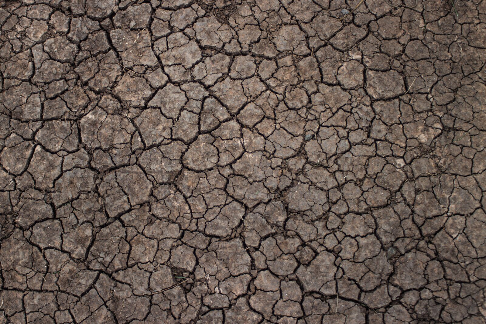 Canon EF 28-80mm f/3.5-5.6 sample photo. Texture, ground, drought photography