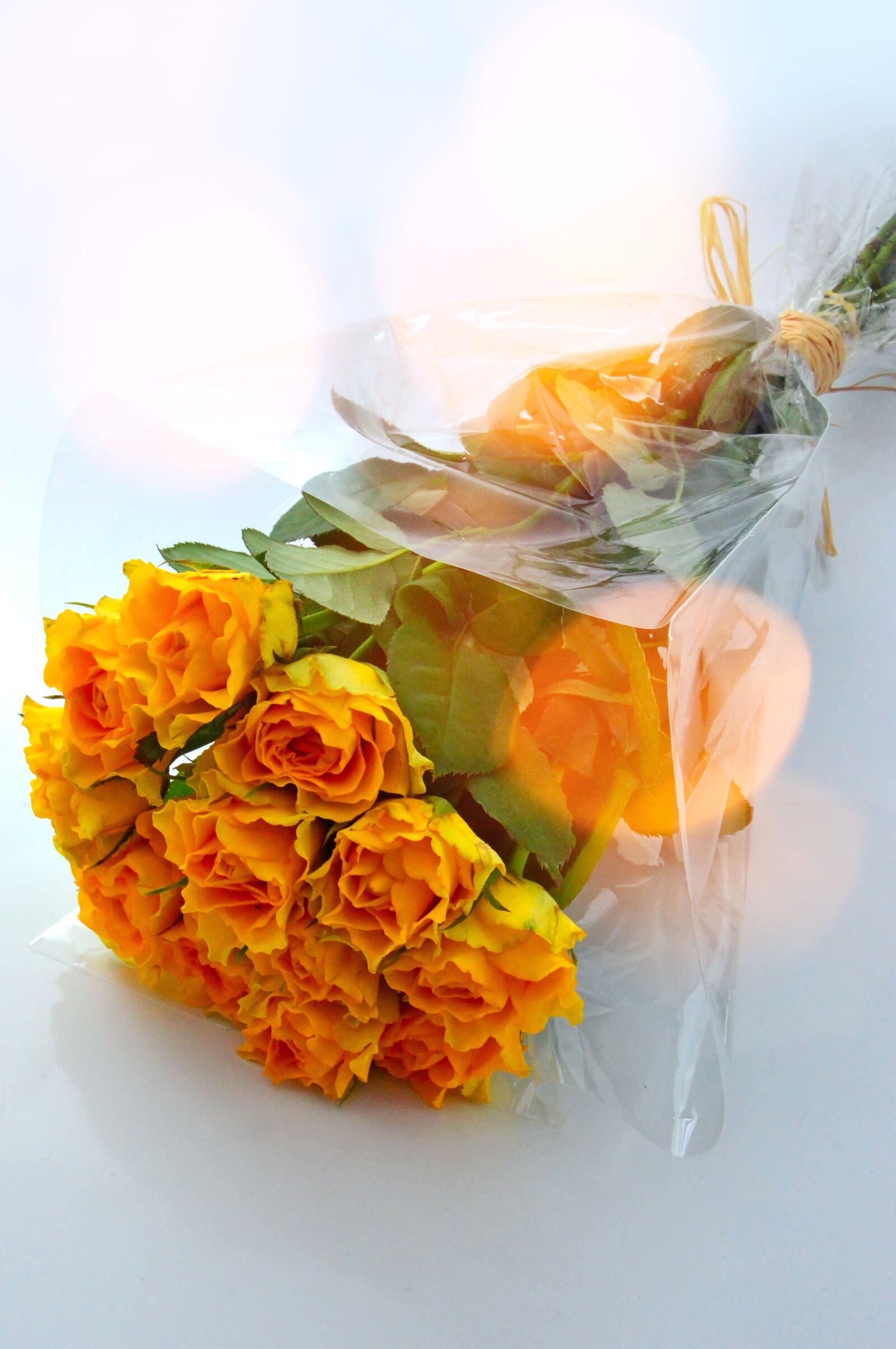 Nikon D3200 sample photo. Color, celebration, flower photography