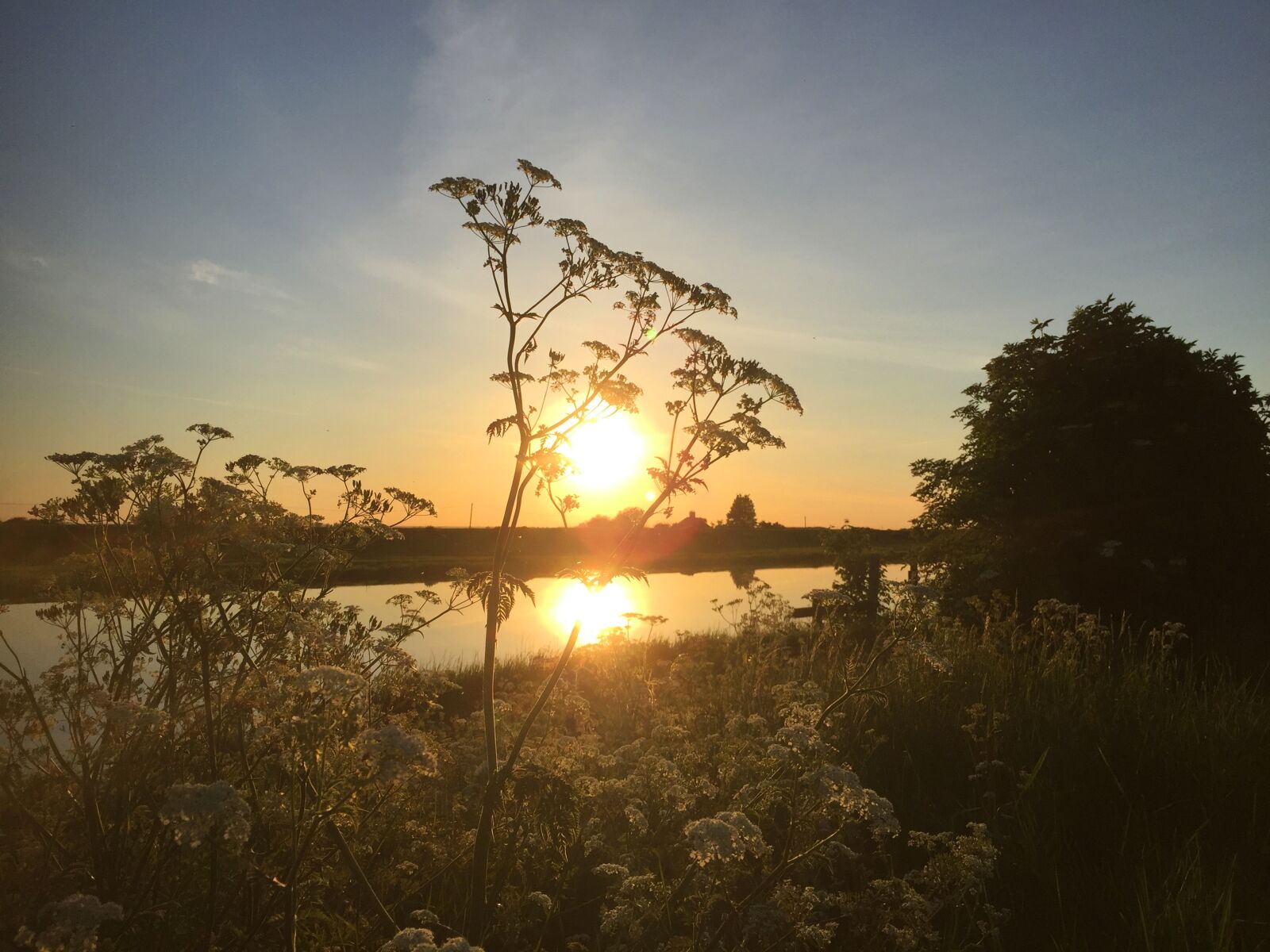 Apple iPhone 6 sample photo. Riverbank, sunrise, sunset photography
