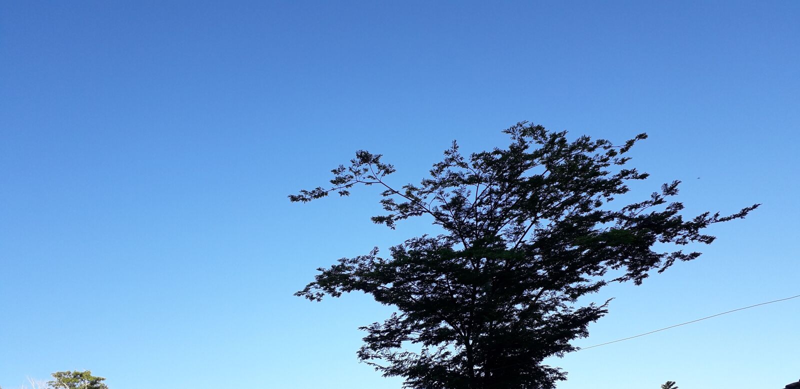 Samsung Galaxy J6 sample photo. Landscape, tree, sky photography