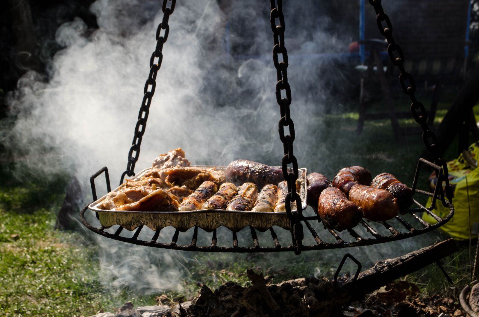 Nikon D5100 sample photo. Grill, an outbreak of photography