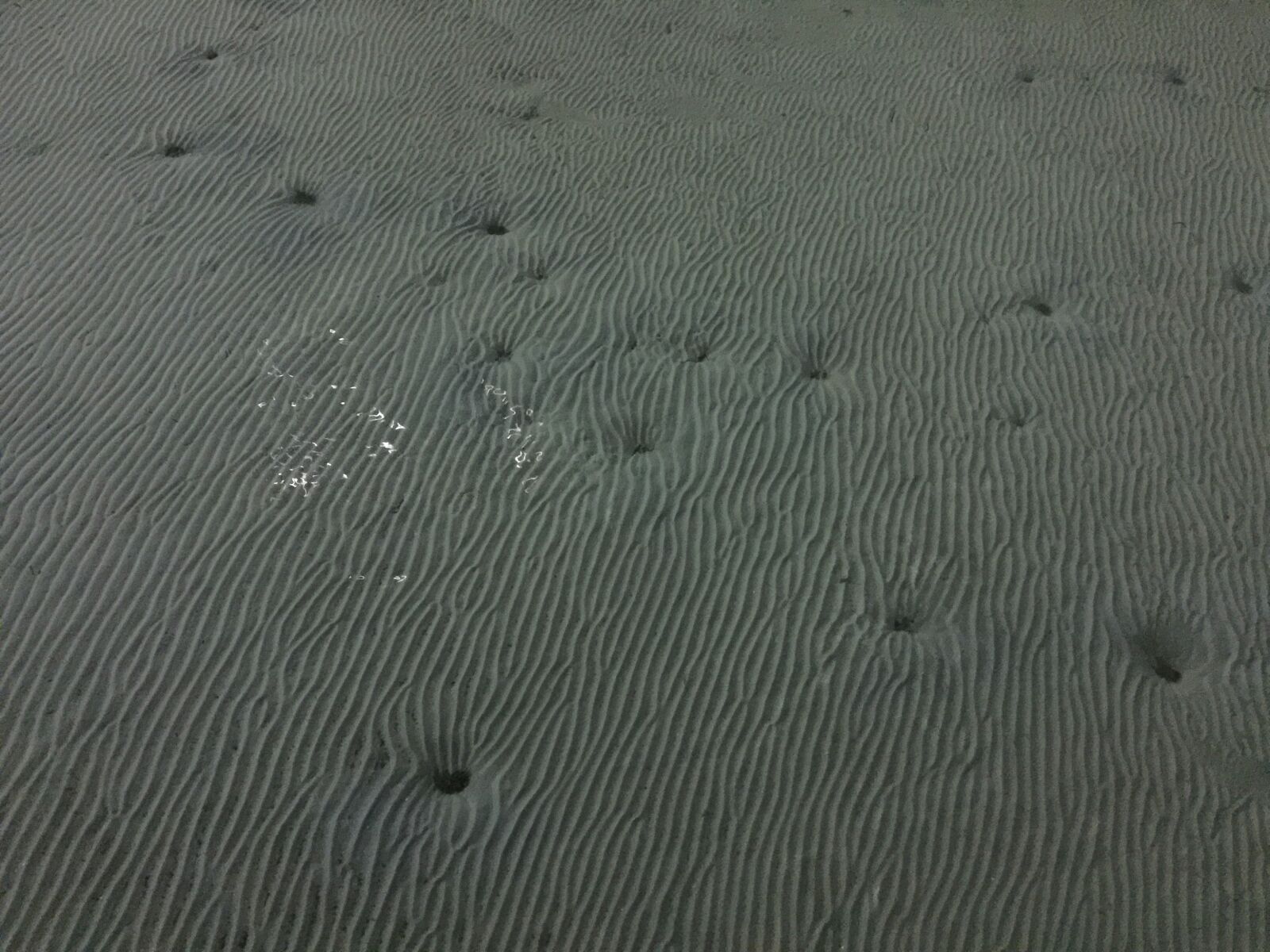 iPhone 6 Plus back camera 4.15mm f/2.2 sample photo. Water photography