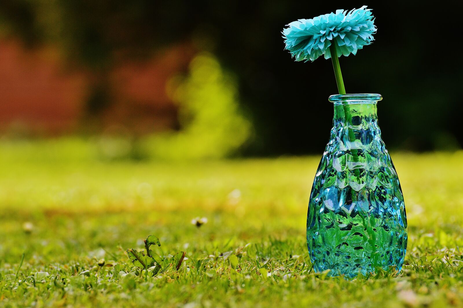 Nikon D3200 sample photo. Vase, glass, flower photography
