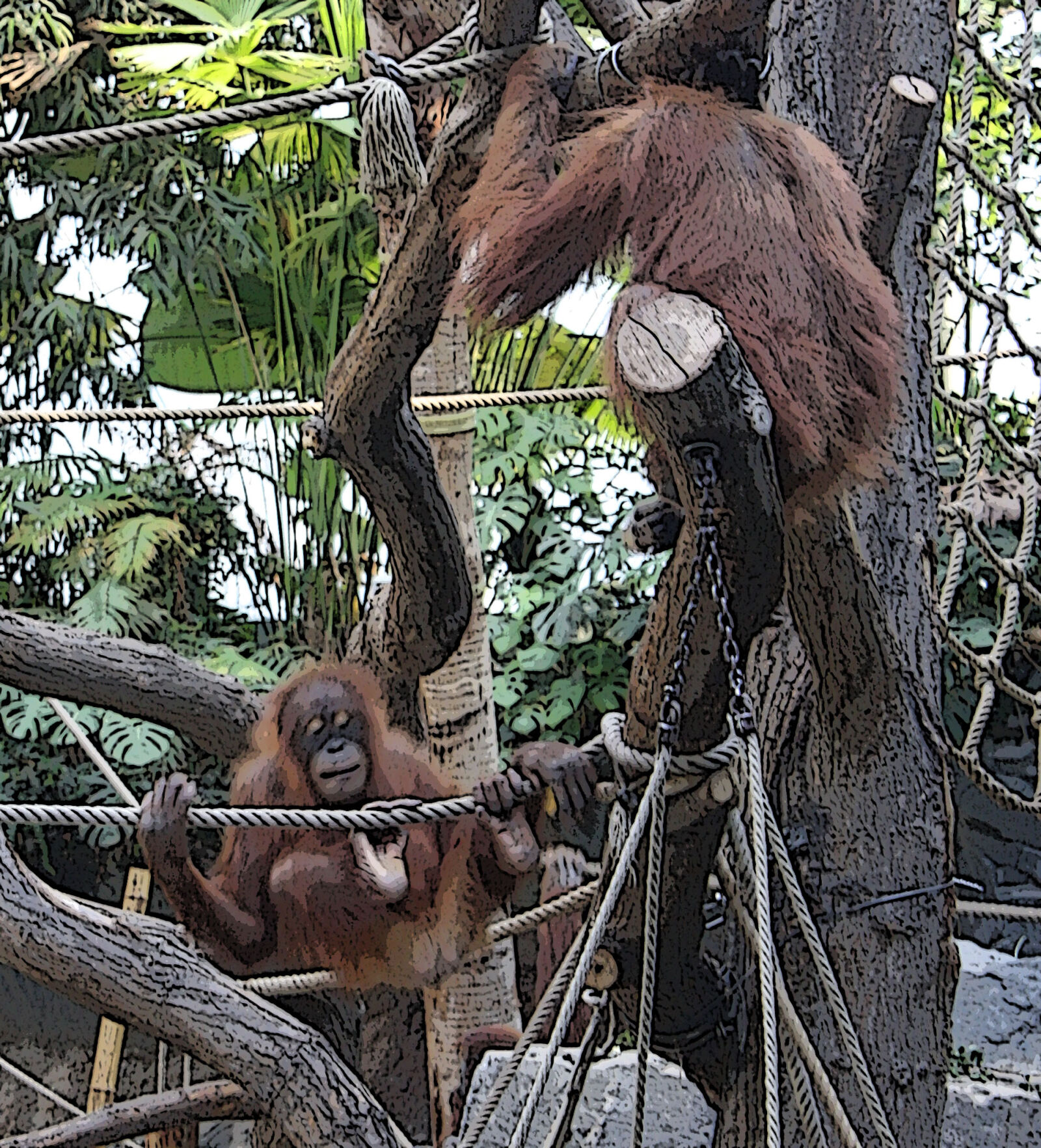 Canon EOS 1000D (EOS Digital Rebel XS / EOS Kiss F) sample photo. Animals, monkey, orangutan, pair photography