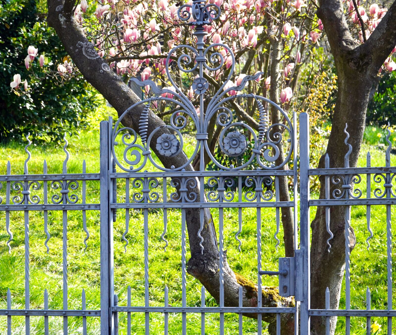 Sony E PZ 18-105mm F4 G OSS sample photo. Goal, iron, fence photography