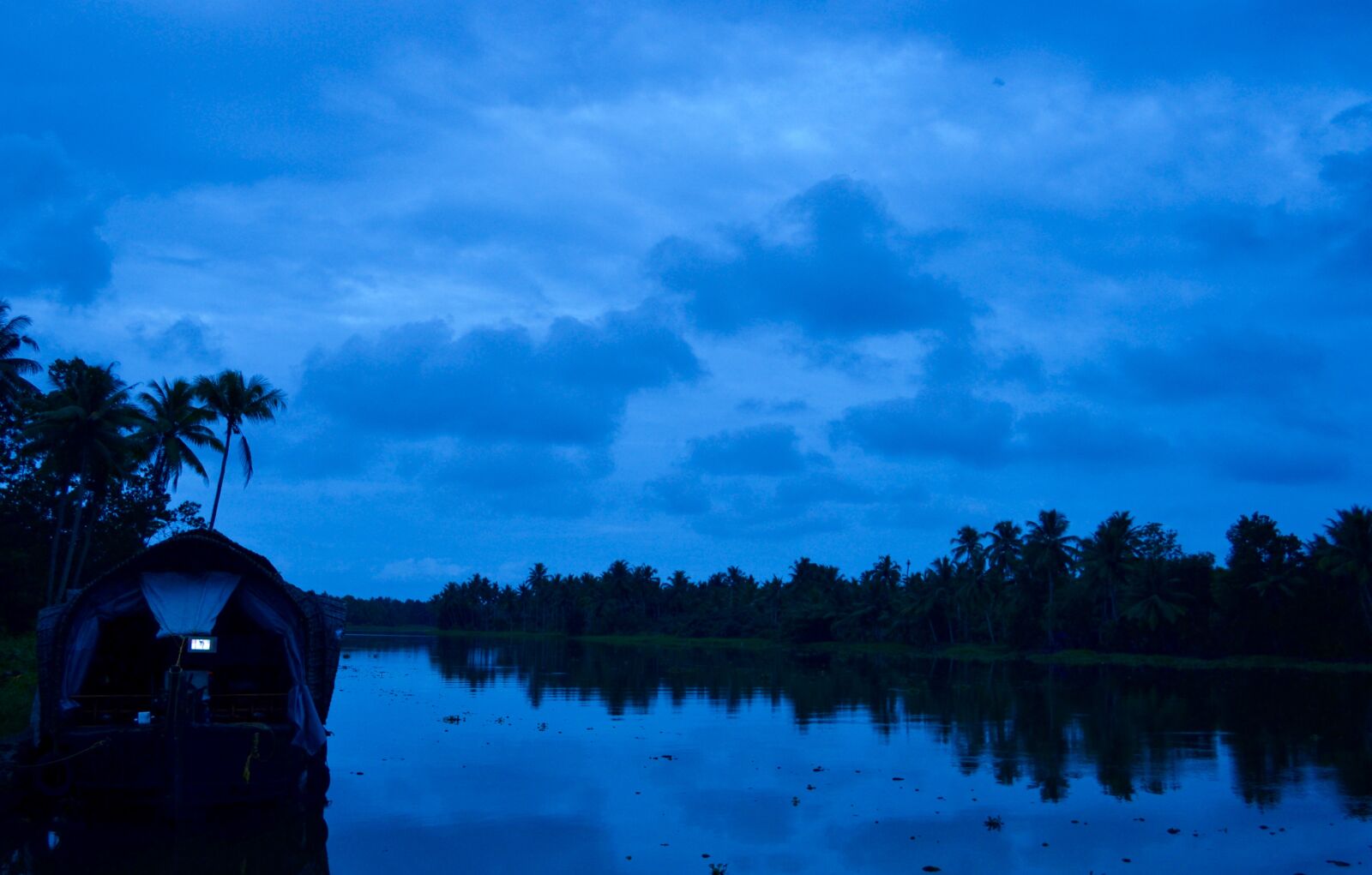 Nikon D3100 sample photo. Backwaters, blue, boat, coconut photography