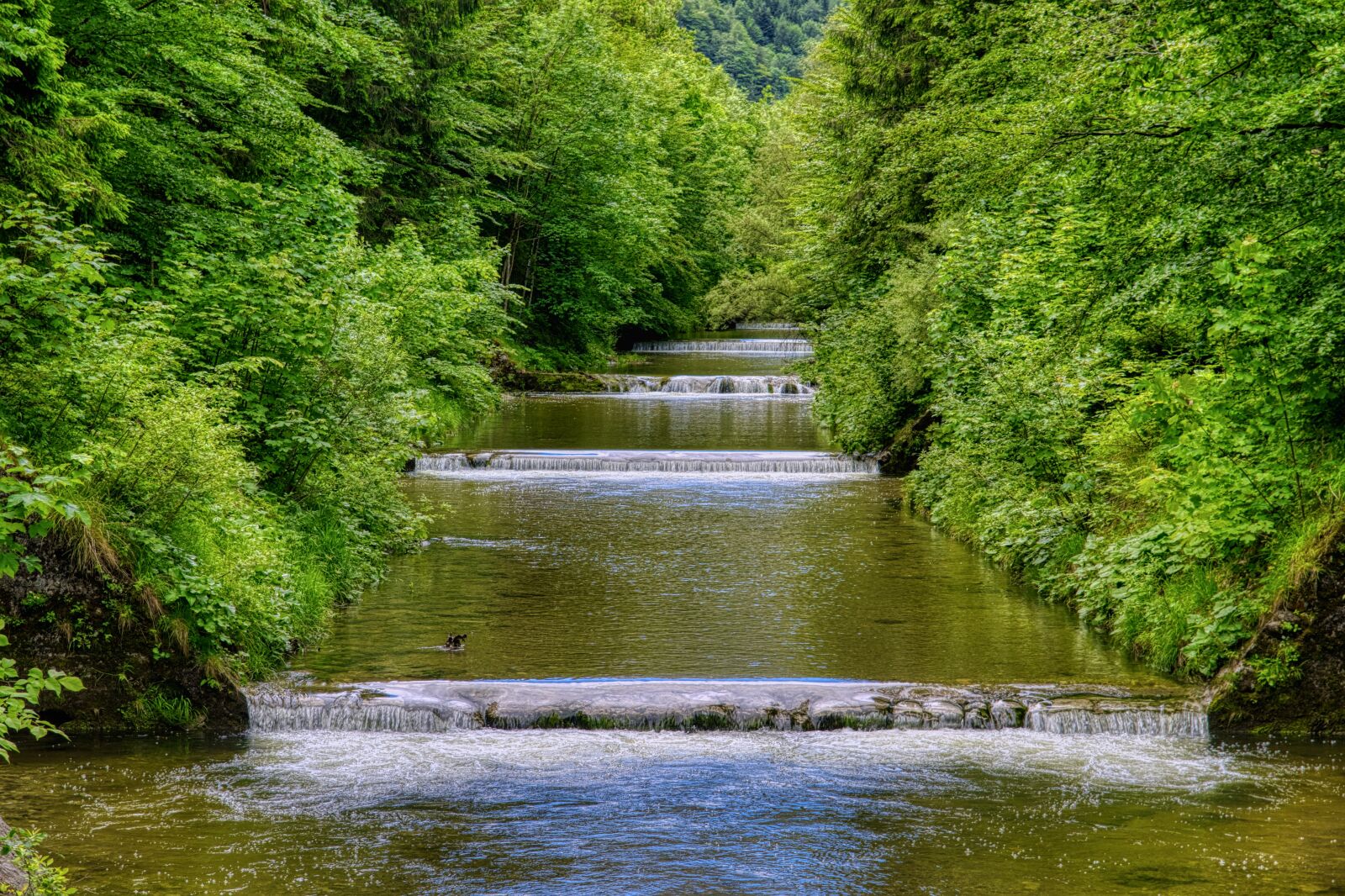 Nikon D7500 sample photo. River, nature, watercourse photography