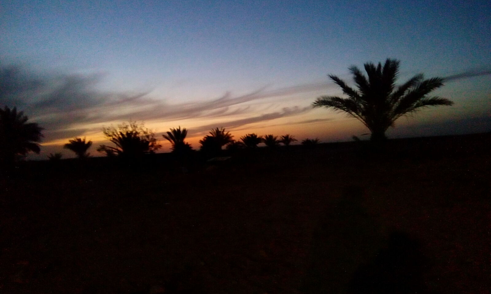 HTC DESIRE 620G DUAL SIM sample photo. Palm, sunset photography