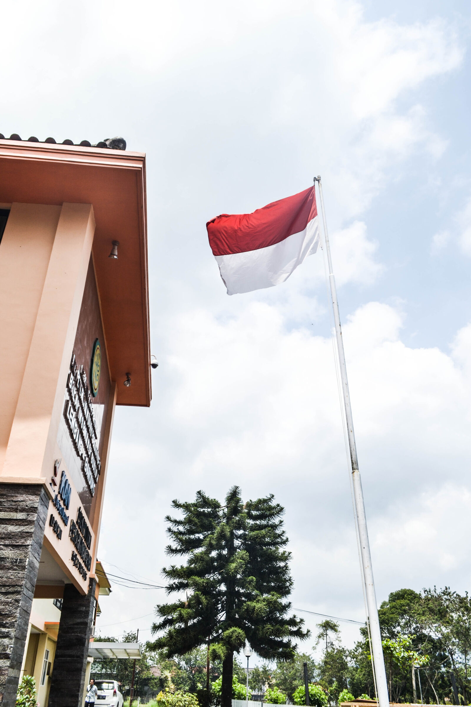 Nikon D3100 sample photo. Flag, indonesia, national, flag photography