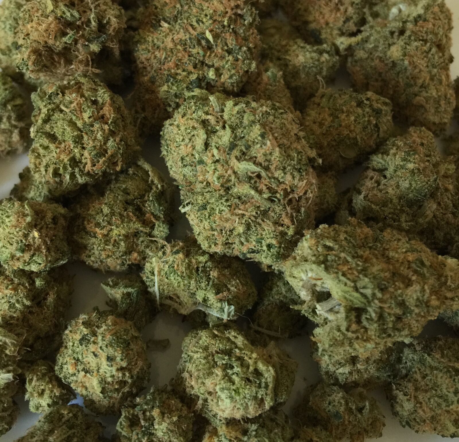 iPhone 6 Plus back camera 4.15mm f/2.2 sample photo. Cannabis, marijuana, weed photography