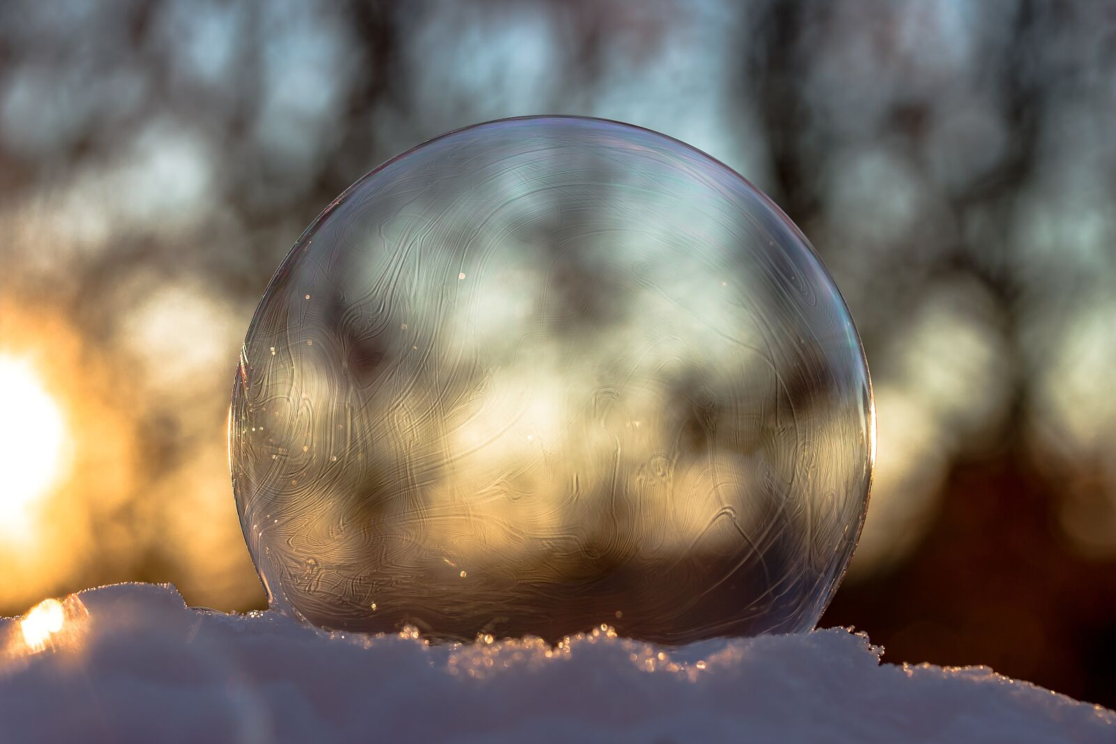 Canon EOS 650D (EOS Rebel T4i / EOS Kiss X6i) sample photo. Frozen bubble, soap bubble photography