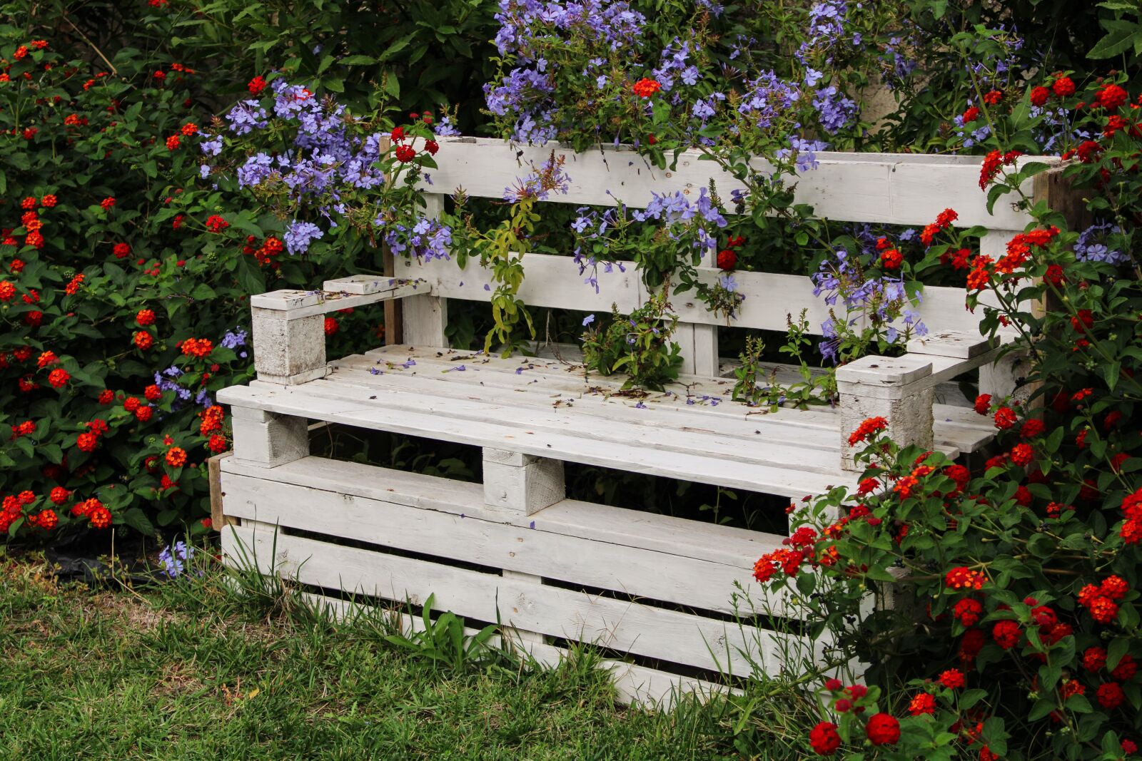 Canon EOS 2000D (EOS Rebel T7 / EOS Kiss X90 / EOS 1500D) sample photo. Park bench, white, garden photography