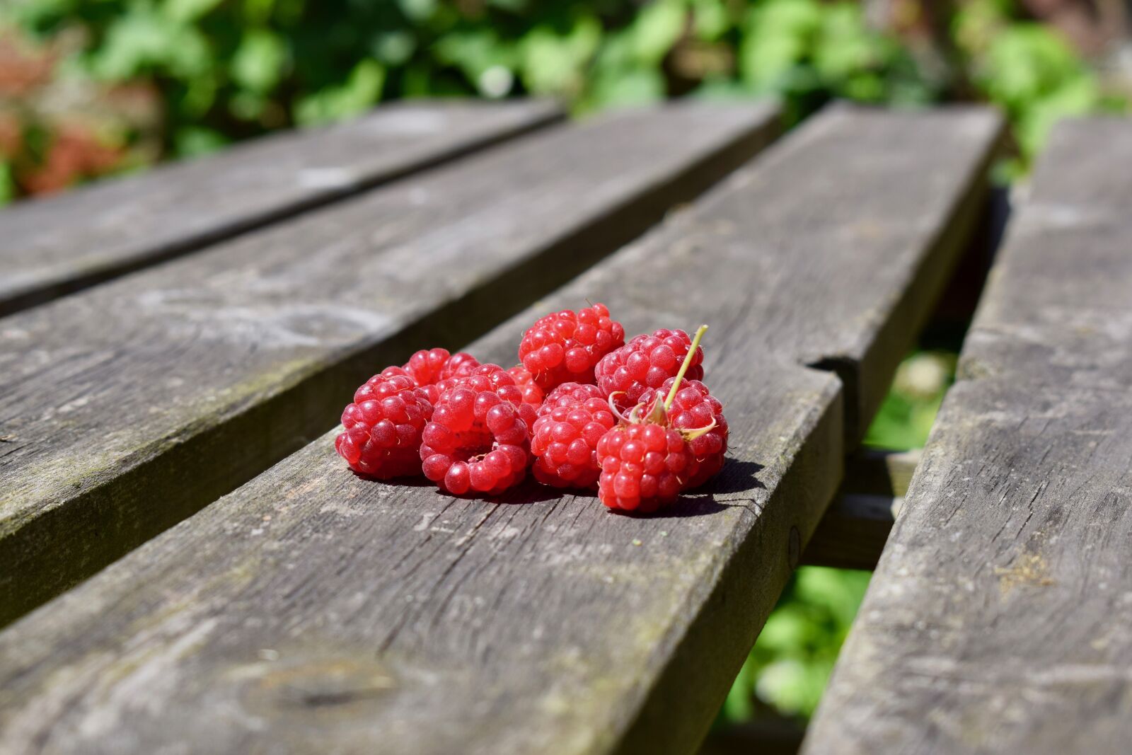 Nikon D3300 sample photo. Raspberry, summer, harvest photography