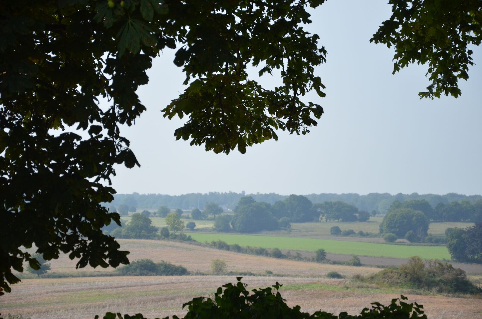 Nikon D7000 sample photo. Nature, landscapes, summer photography