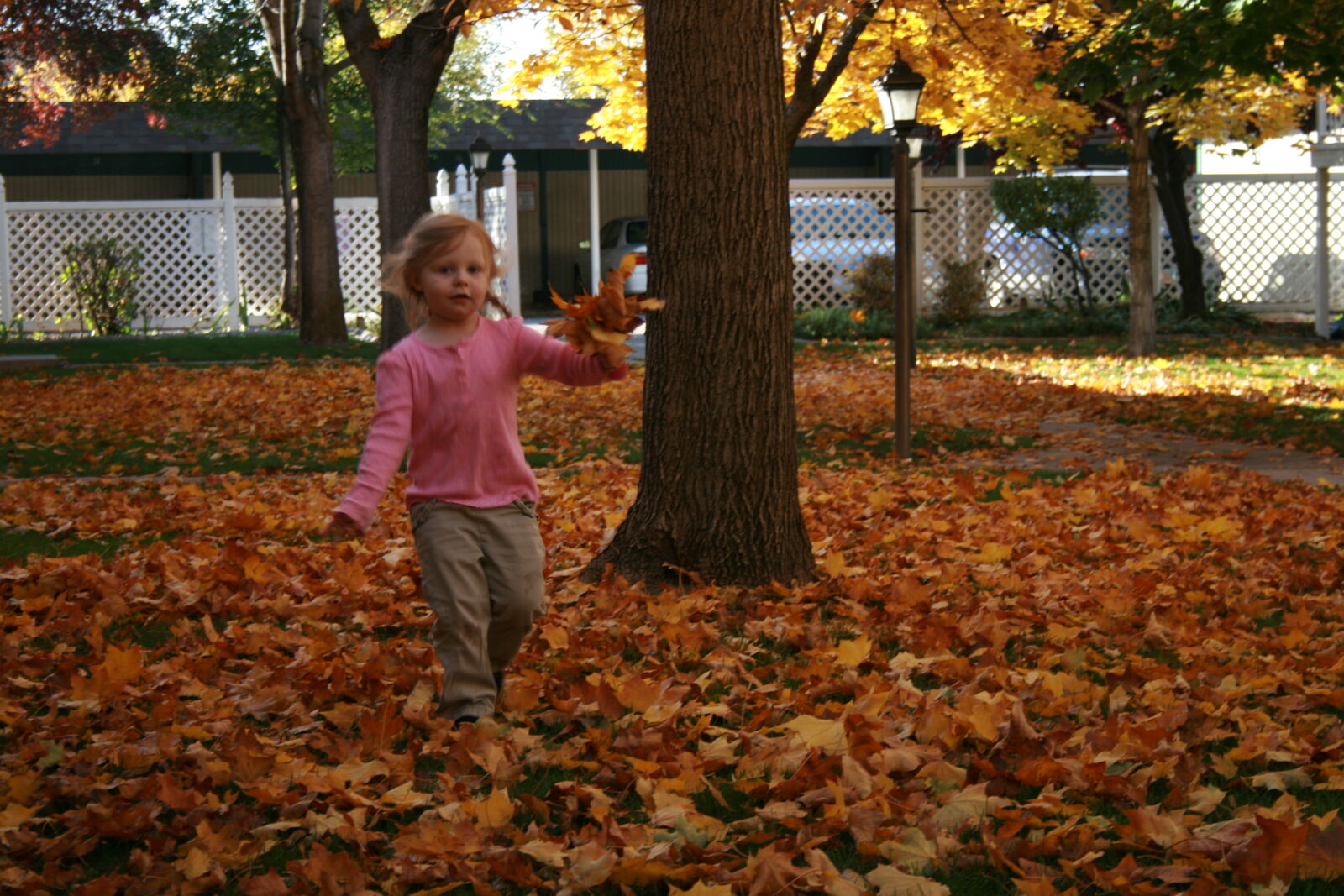 Canon EF-S 18-55mm F3.5-5.6 II sample photo. Autumn, autumn, colours, autumn photography