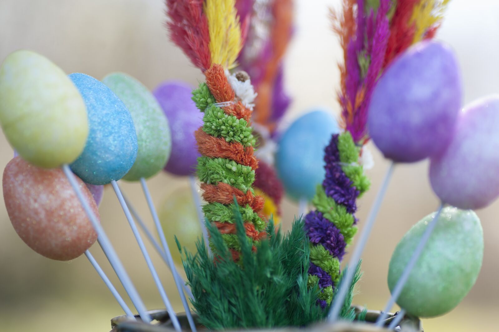 Nikon D700 sample photo. Palm, sunday, easter photography