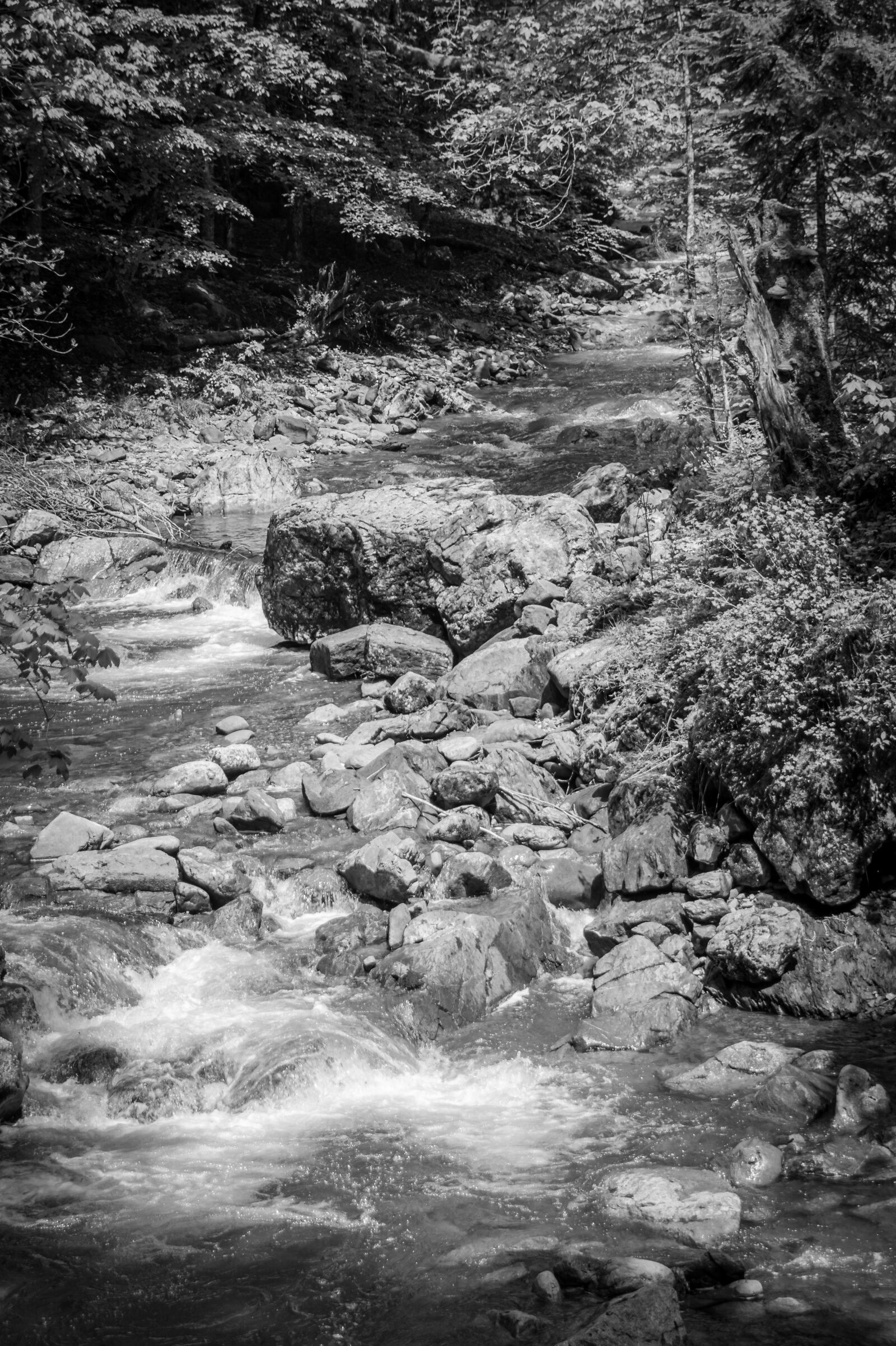 Sony SLT-A58 sample photo. Black and white, water photography