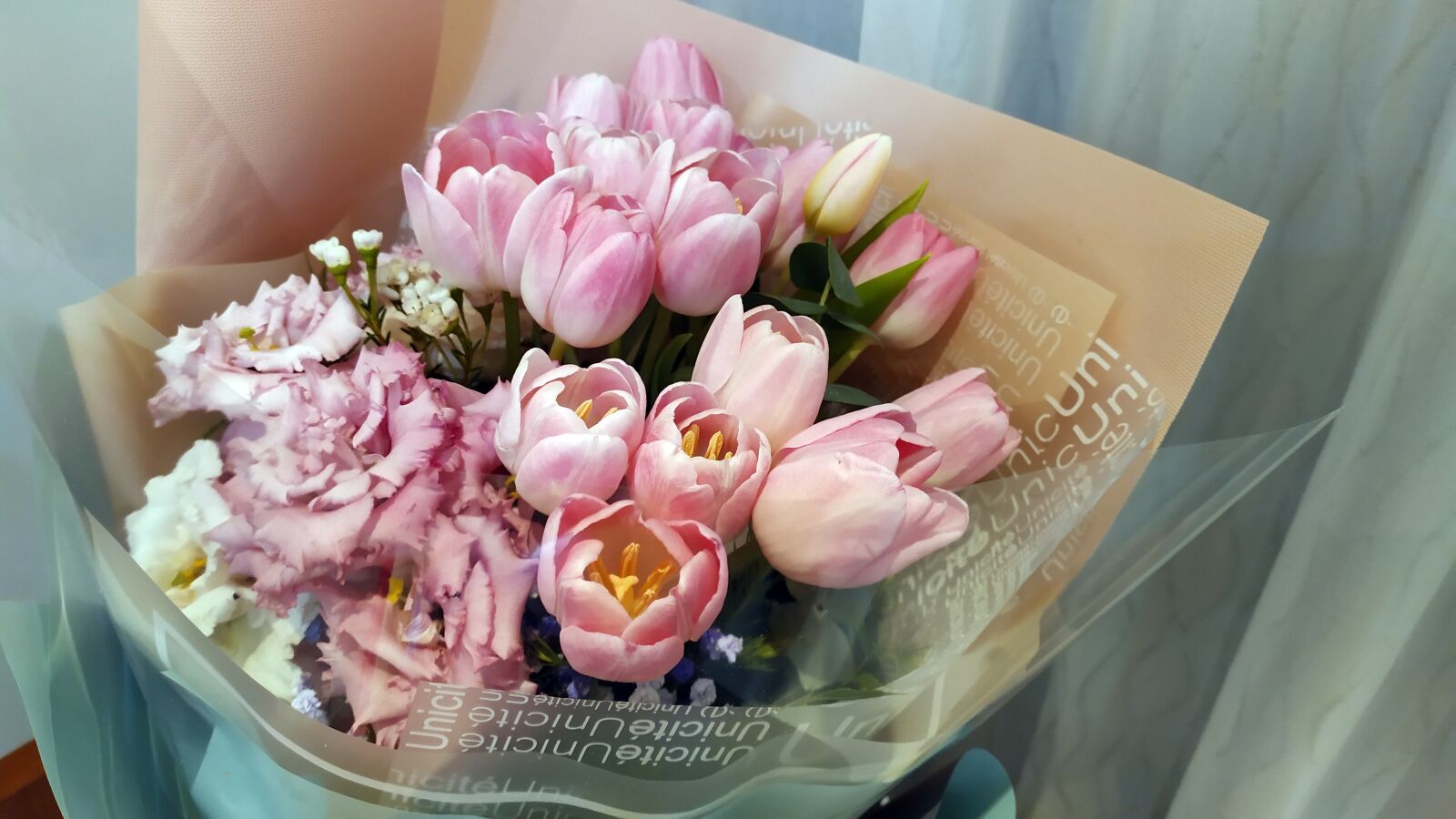 Xiaomi Redmi Note 7 sample photo. Flower, tulips, tulip photography