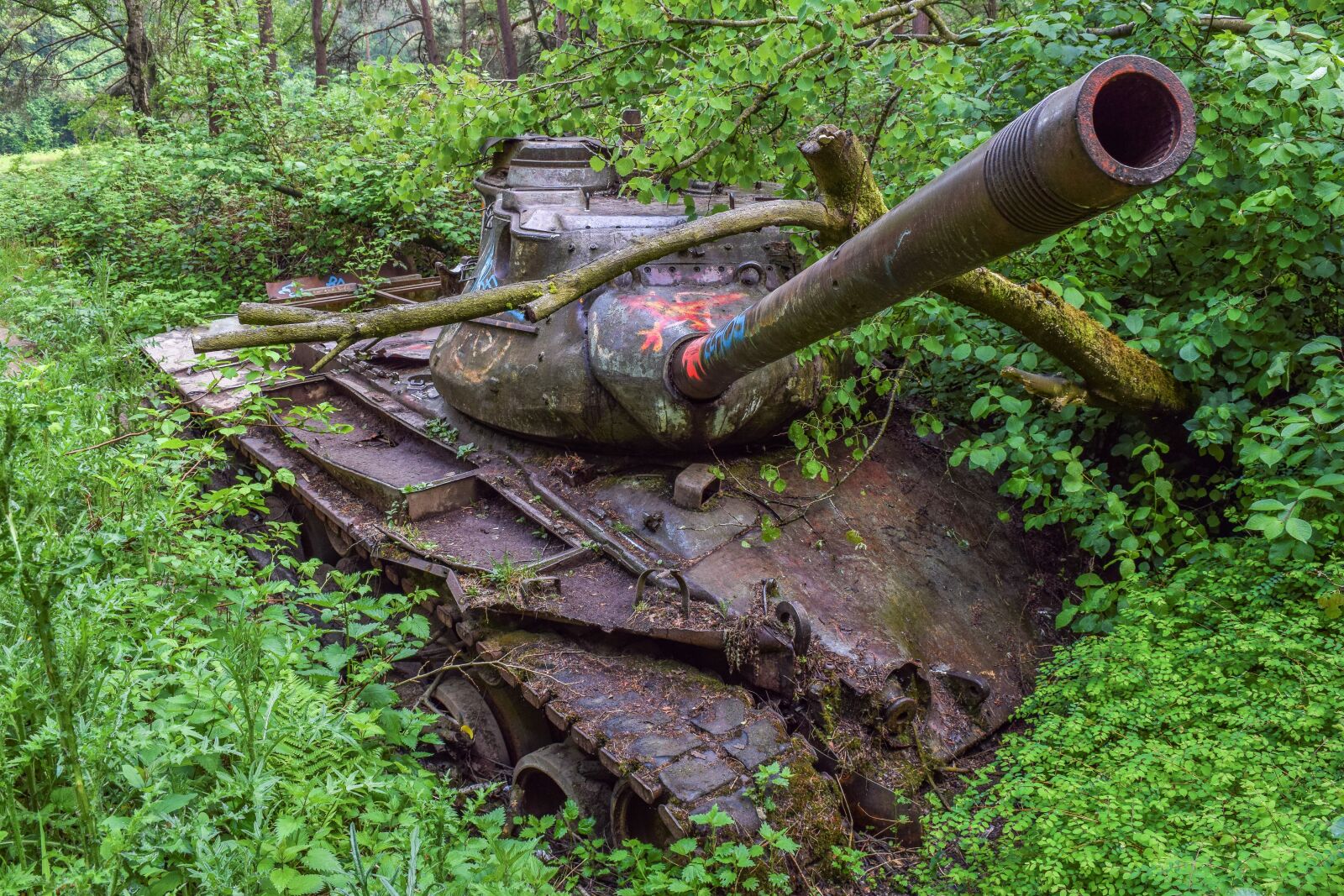 Nikon D3300 sample photo. Lost places, panzer, wreck photography