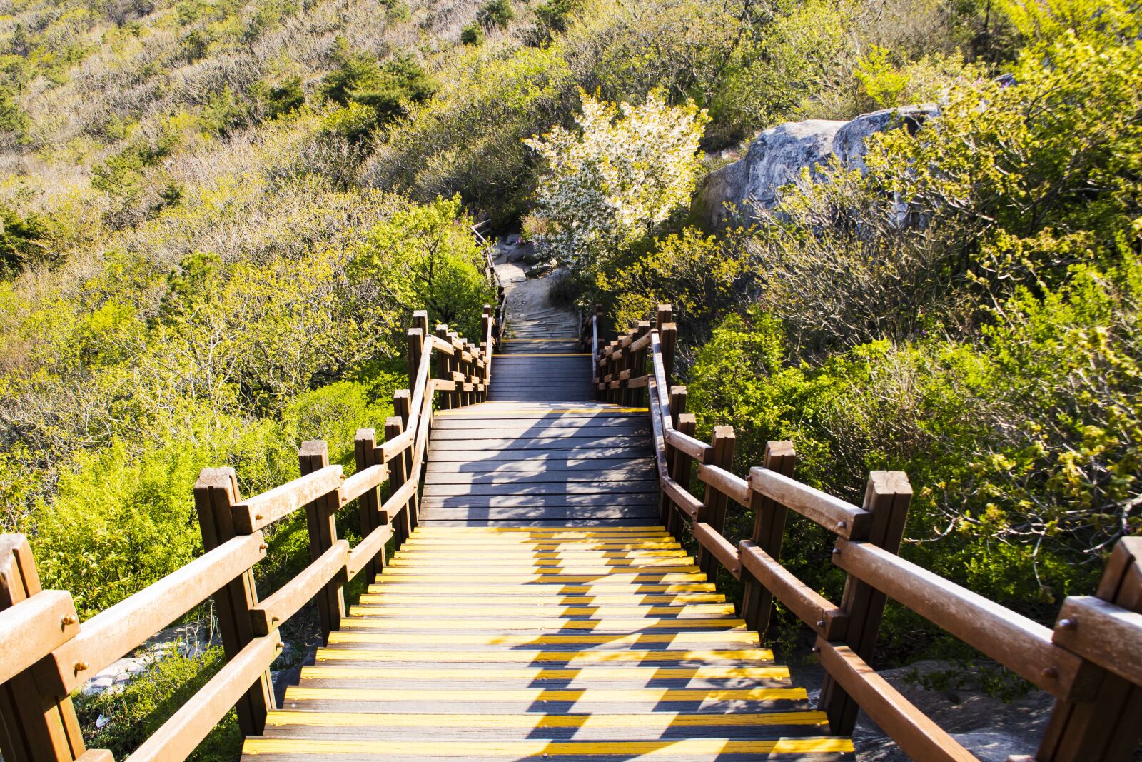 Canon EOS 750D (EOS Rebel T6i / EOS Kiss X8i) sample photo. Road, walk, mountain photography