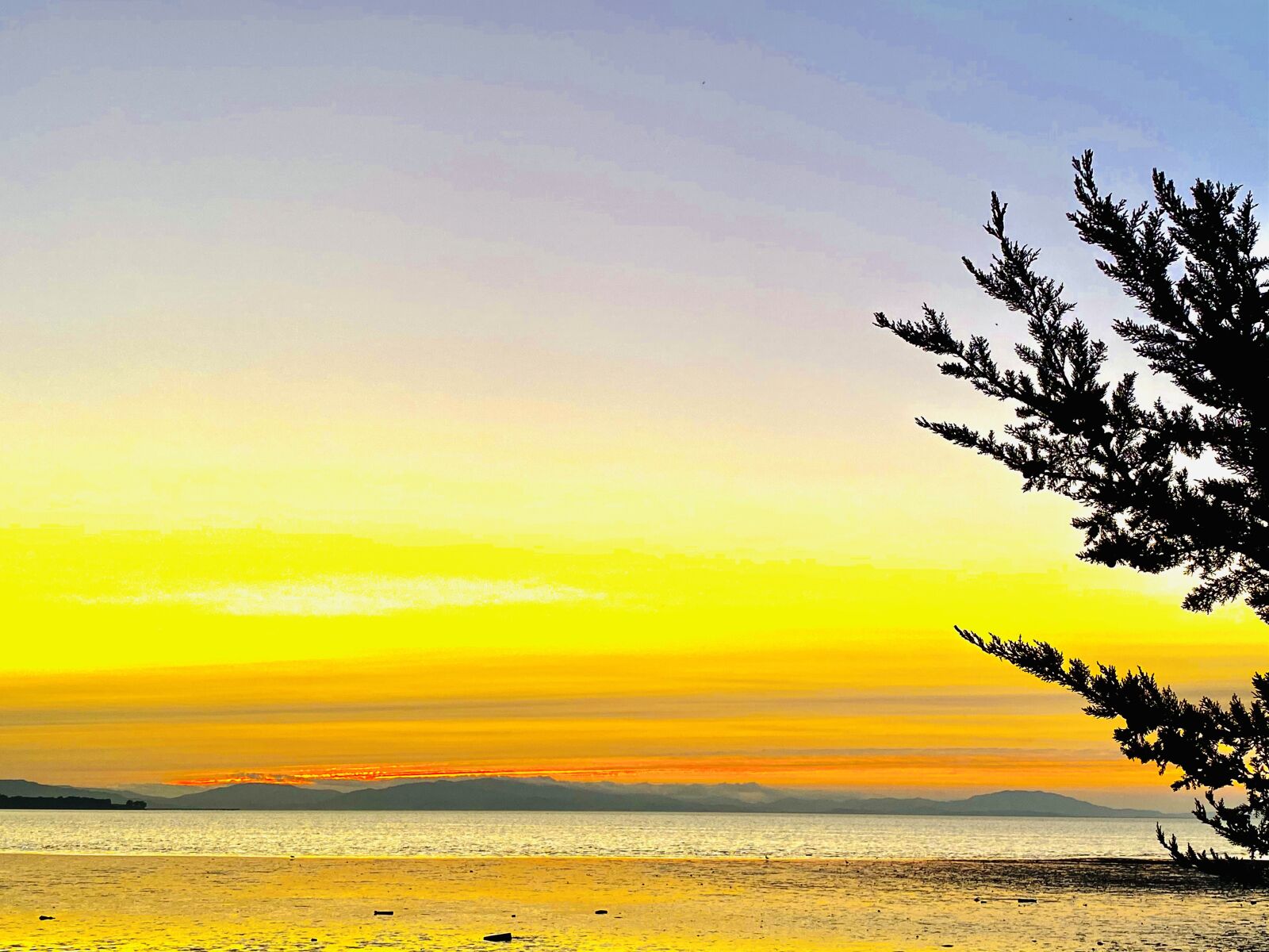 Apple iPhone 11 Pro Max sample photo. Sunset, go to beach photography