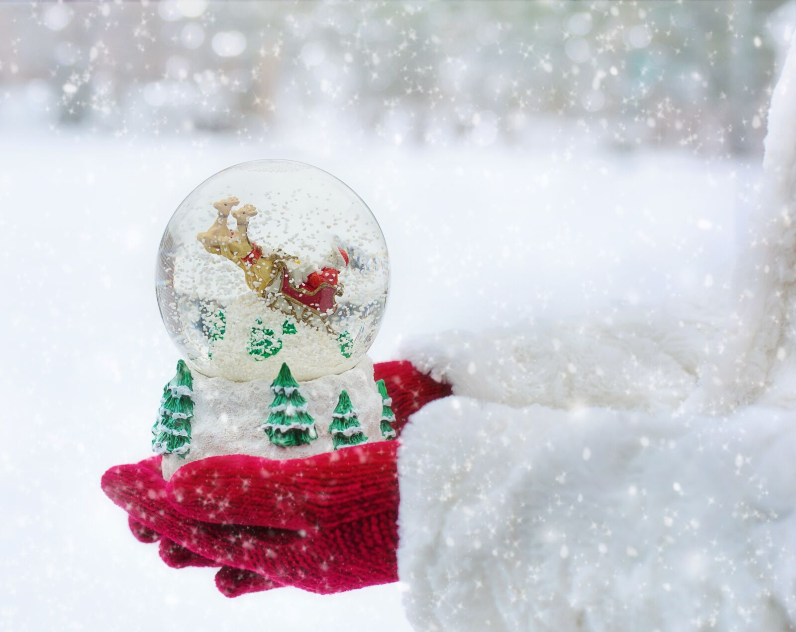 Canon EF 50mm F1.4 USM sample photo. Snow globe, christmas, snow photography