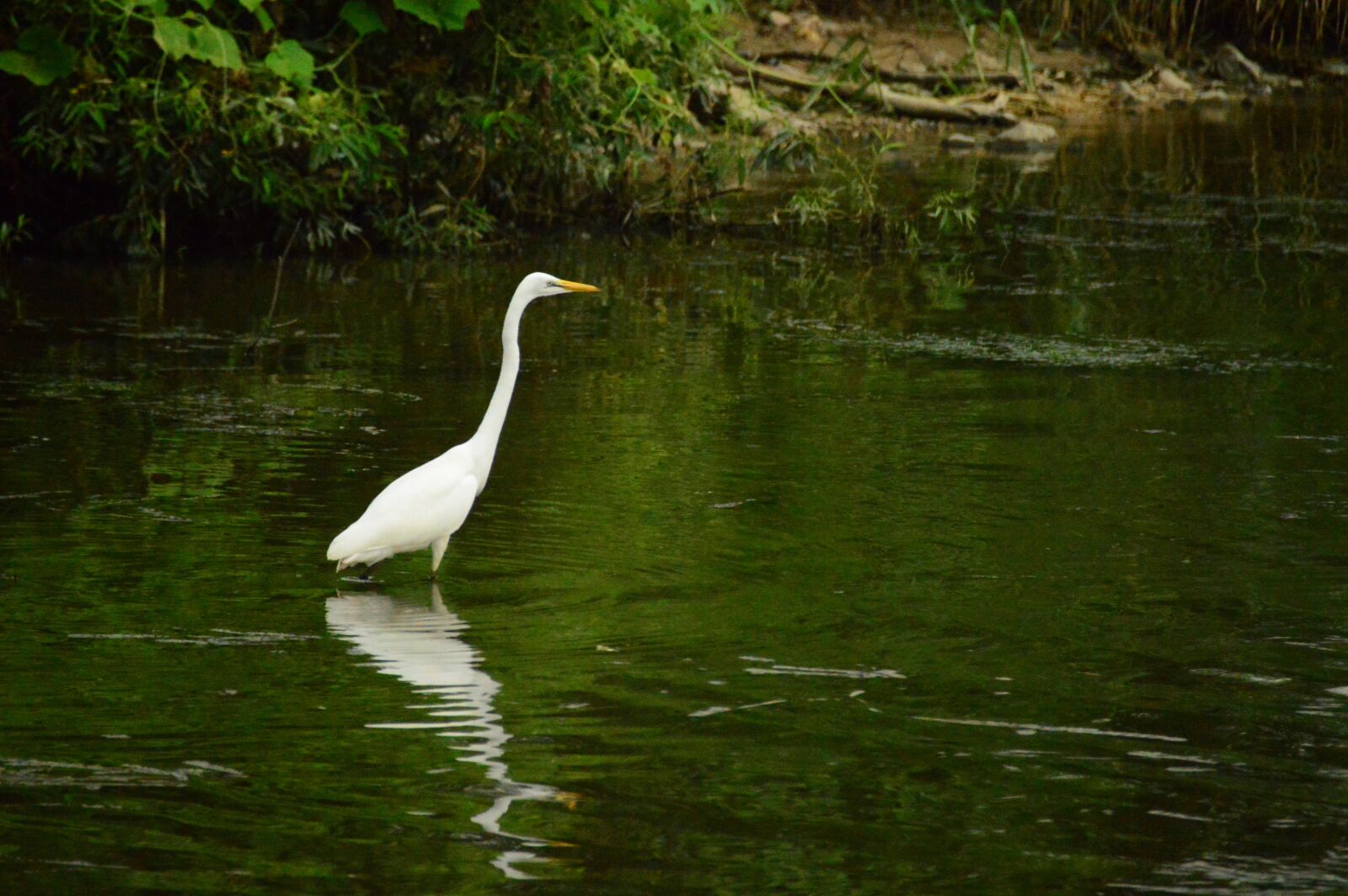 Nikon D3200 sample photo. Studies, new, nature photography