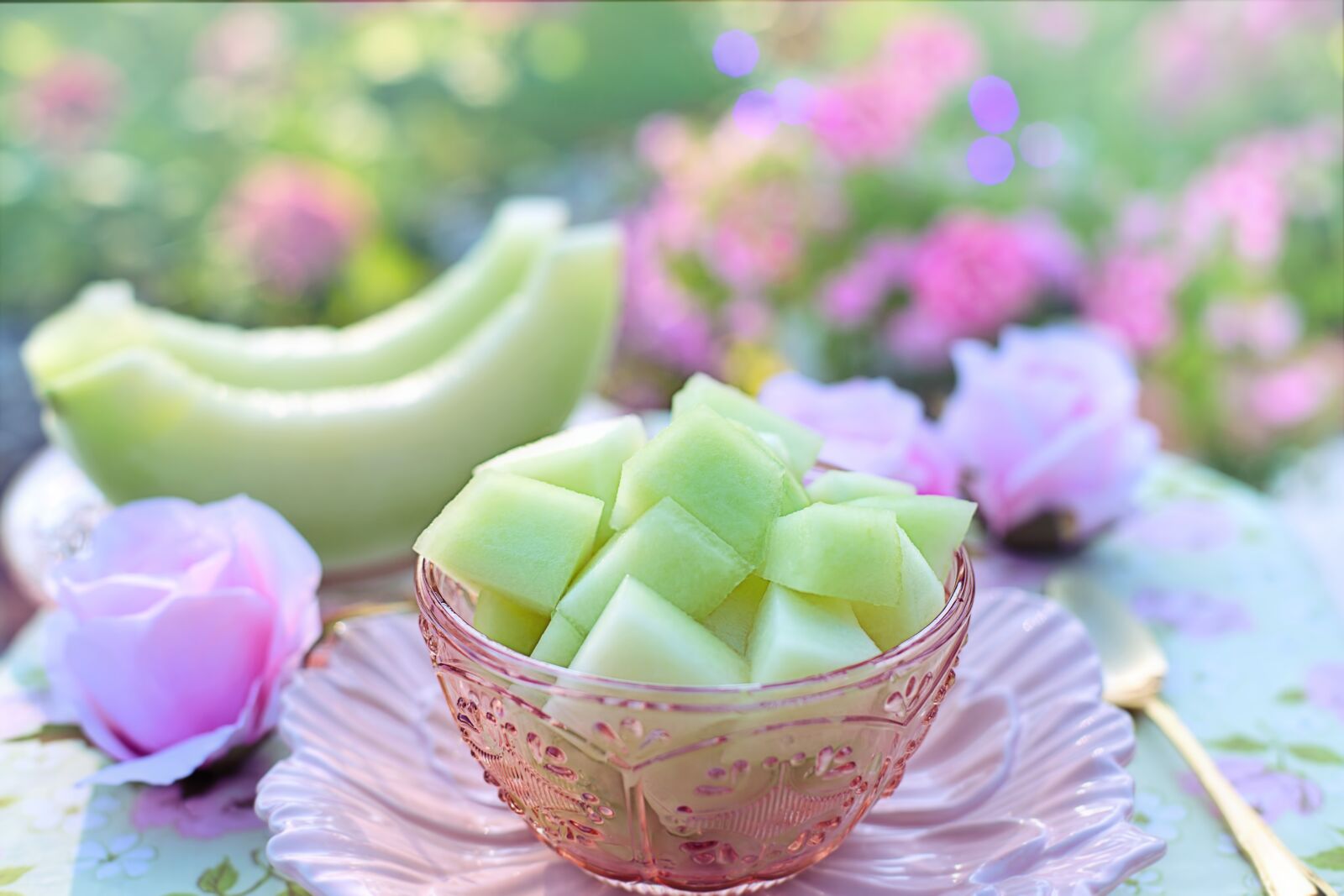 Canon EF 50mm F1.4 USM sample photo. Melon, honey dew melon photography