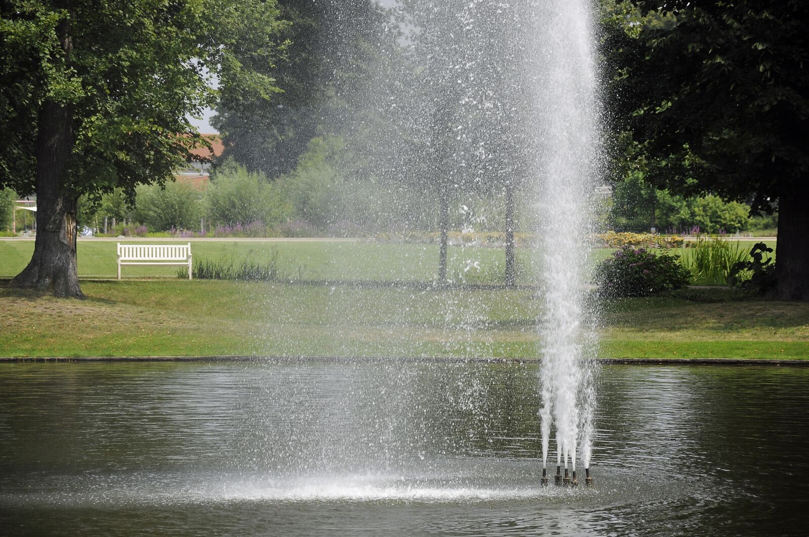 Nikon D90 sample photo. Fountain, park, water photography