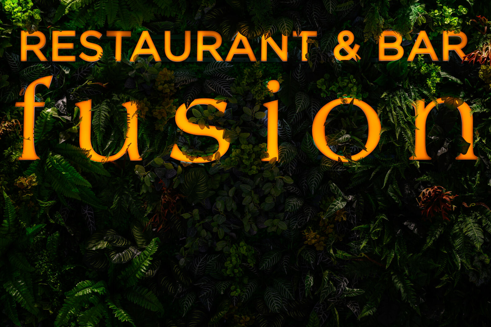 Nikon Z8 sample photo. Fusion restaurant photography