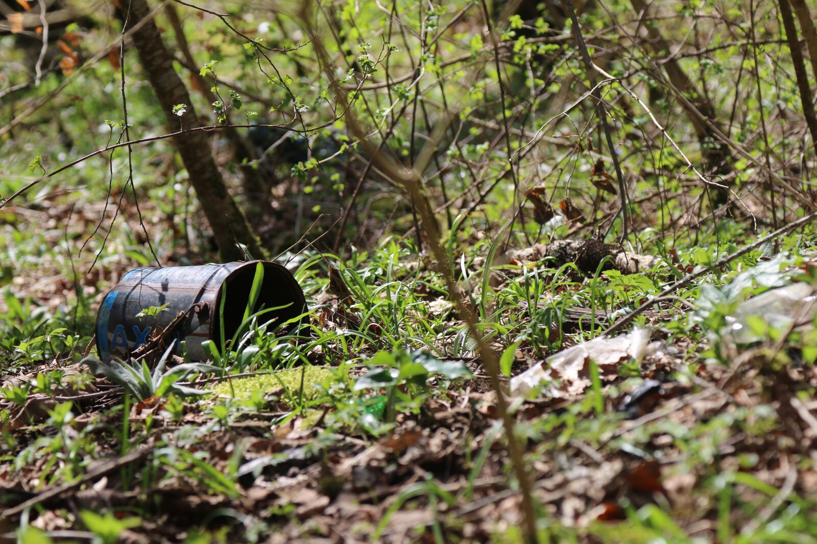Canon EOS 70D + Canon EF 24-105mm F4L IS USM sample photo. Pot, abandoned, metal photography