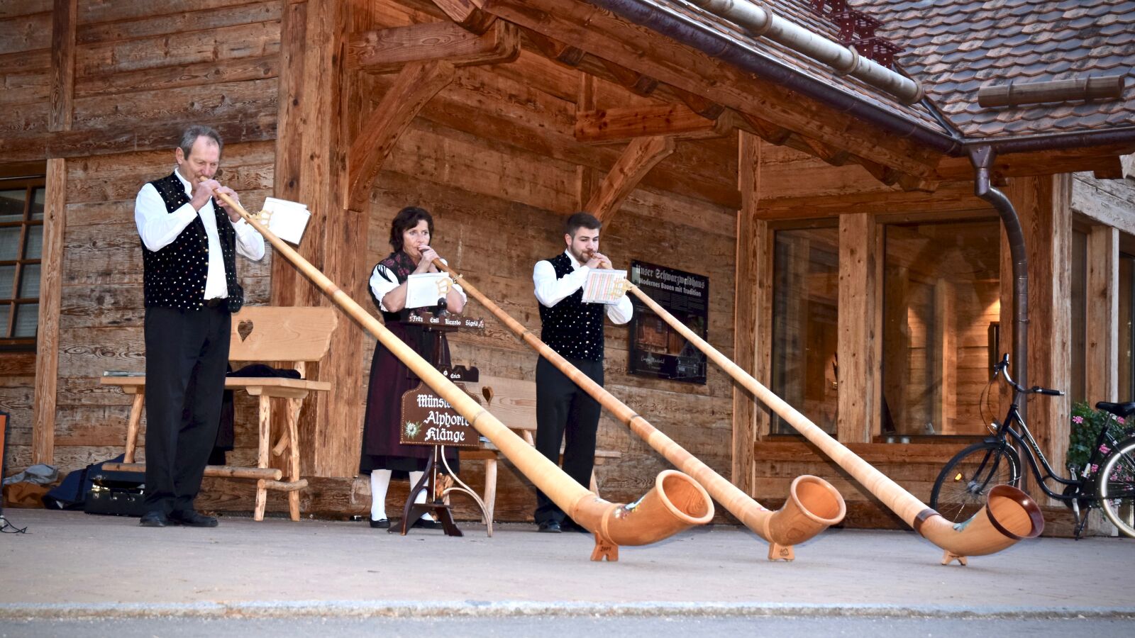 Nikon D5300 sample photo. Alphorn, wind instrument, musical photography