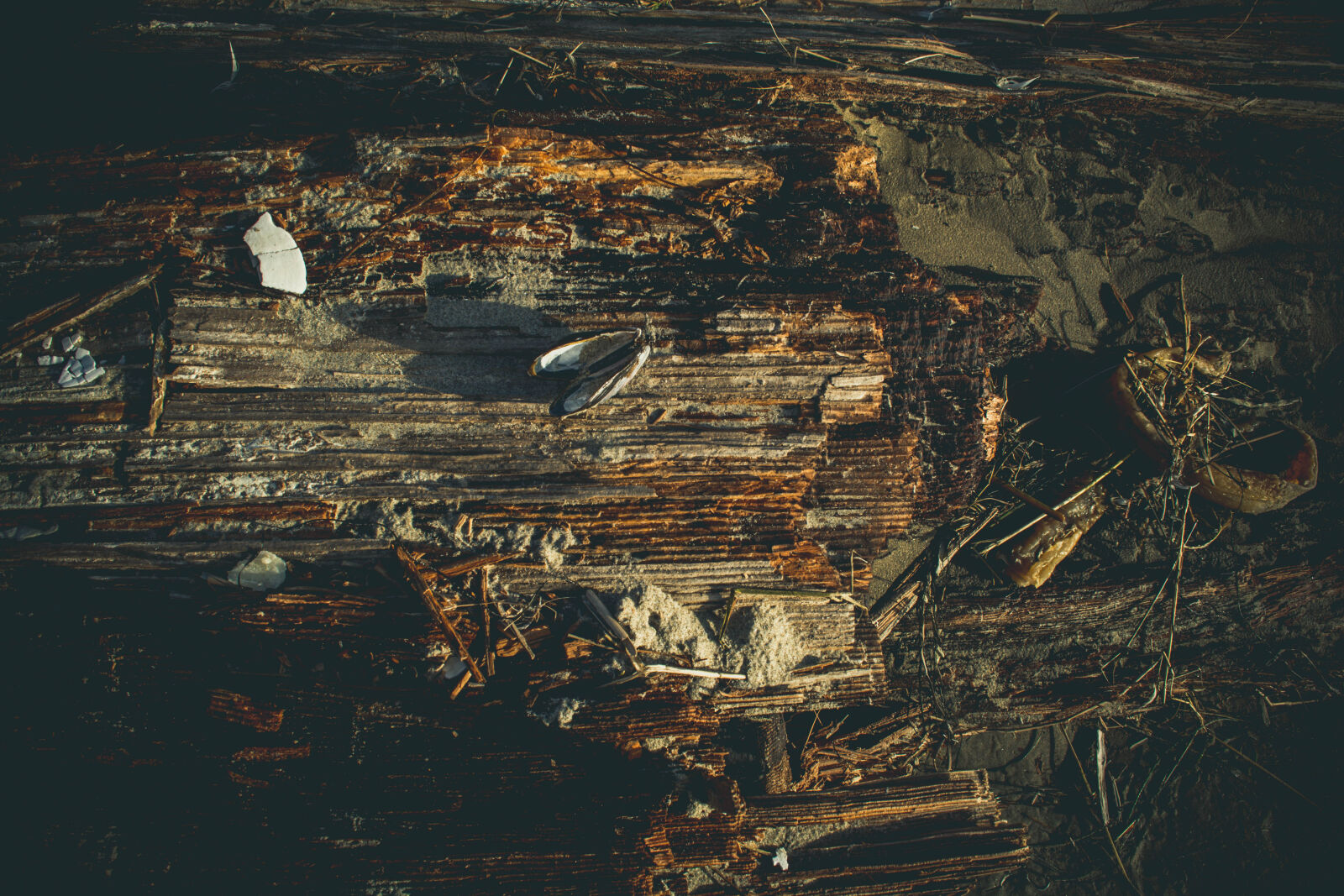 Nikon D5200 sample photo. Close, up, dirty, exploration photography