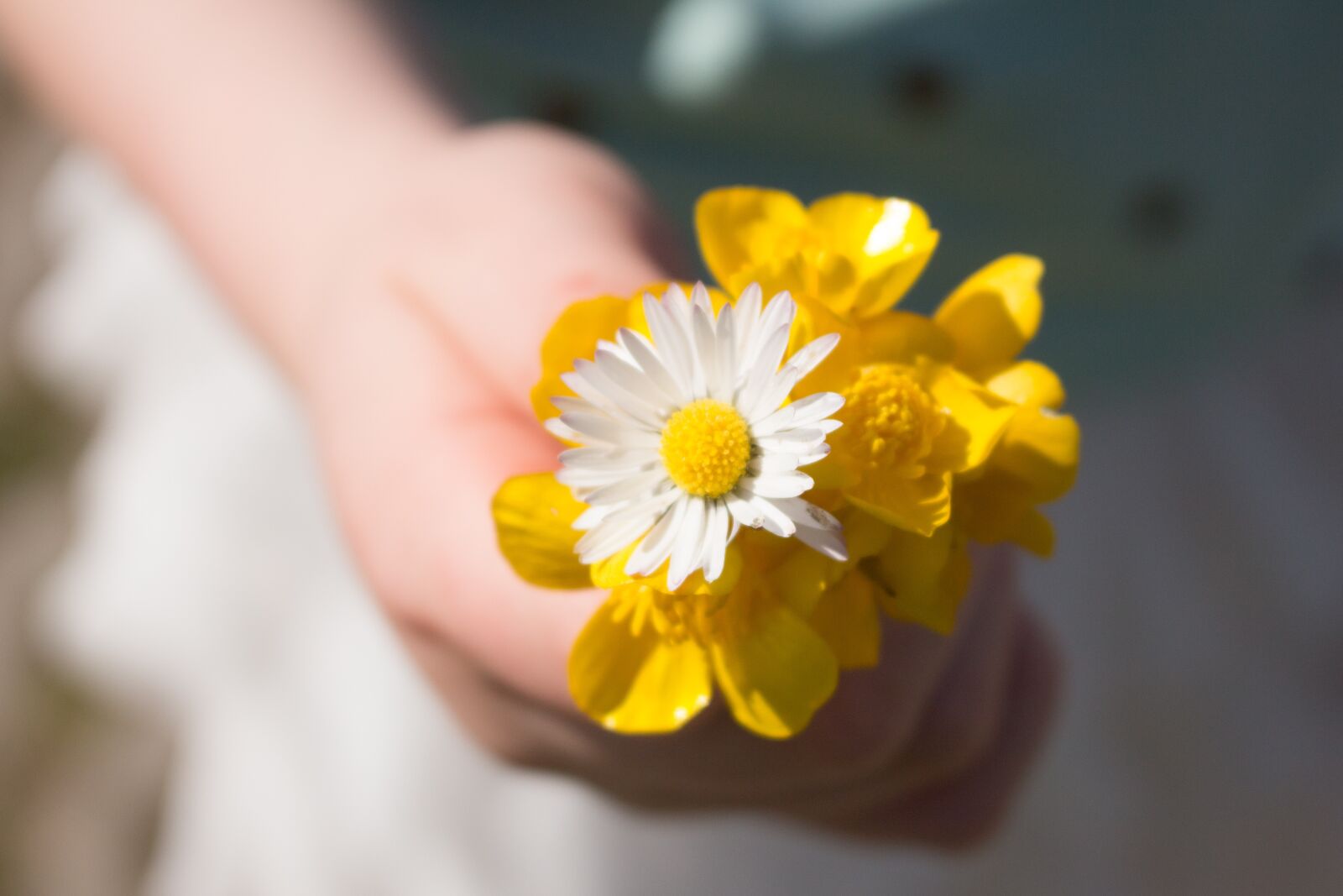 Canon EOS 100D (EOS Rebel SL1 / EOS Kiss X7) sample photo. Flowers, bunch, daisy photography