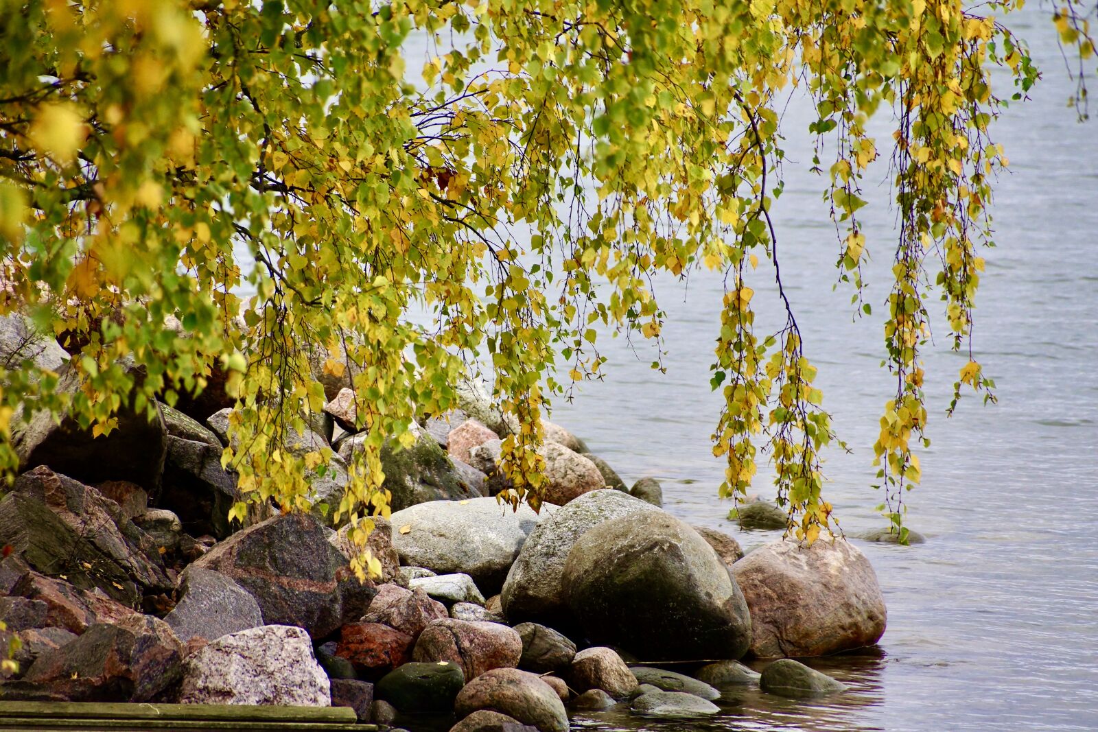 Sony DT 18-250mm F3.5-6.3 sample photo. Autumn, nature, finnish photography
