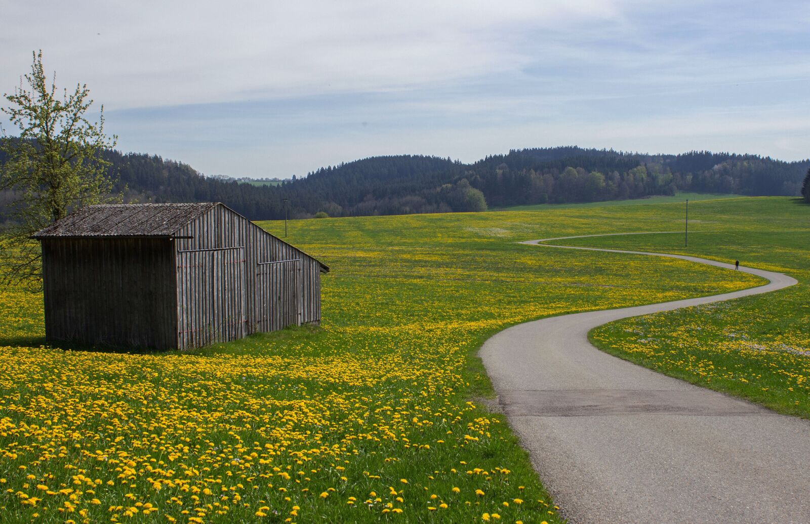 Canon EOS 600D (Rebel EOS T3i / EOS Kiss X5) sample photo. Landscape, flower meadow, scale photography
