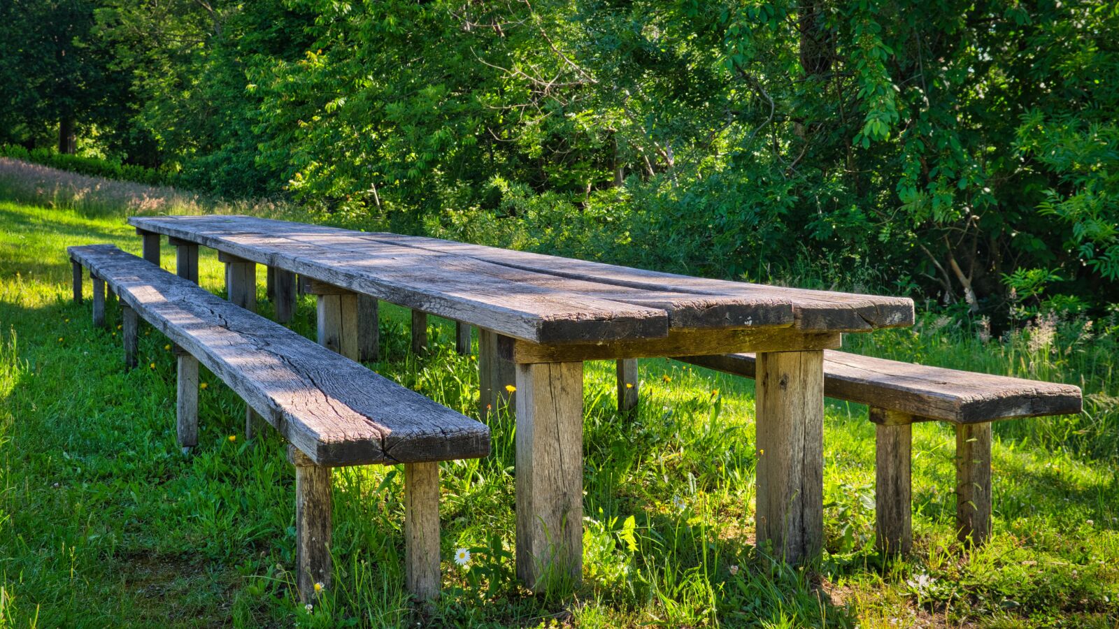 Nikon D7500 sample photo. Seating arrangement, bench, sit photography