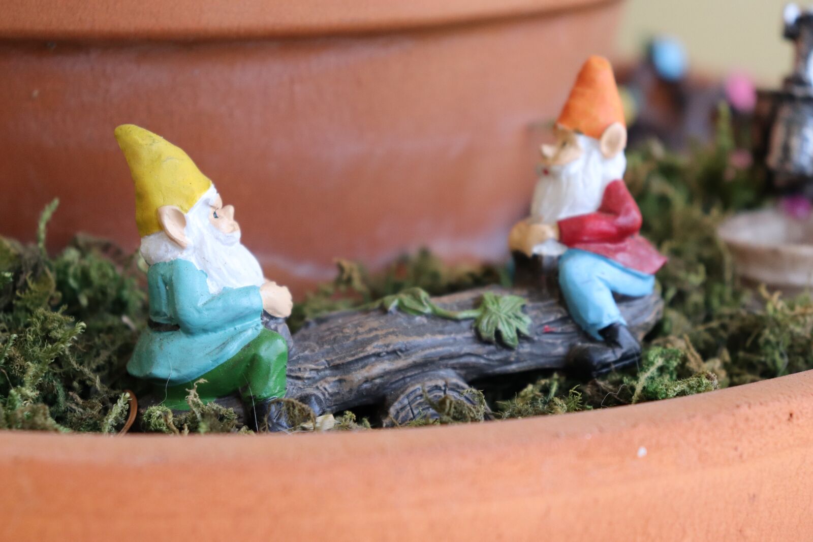 Canon EOS 800D (EOS Rebel T7i / EOS Kiss X9i) + Canon EF-S 18-55mm F4-5.6 IS STM sample photo. Gnomes, garden, fairy photography