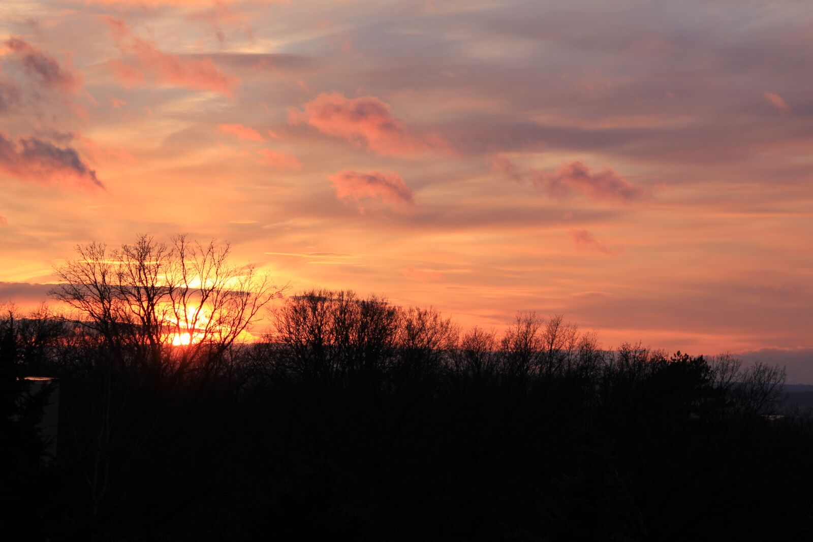 Canon EOS 550D (EOS Rebel T2i / EOS Kiss X4) sample photo. Sunset, silhouette, trees photography