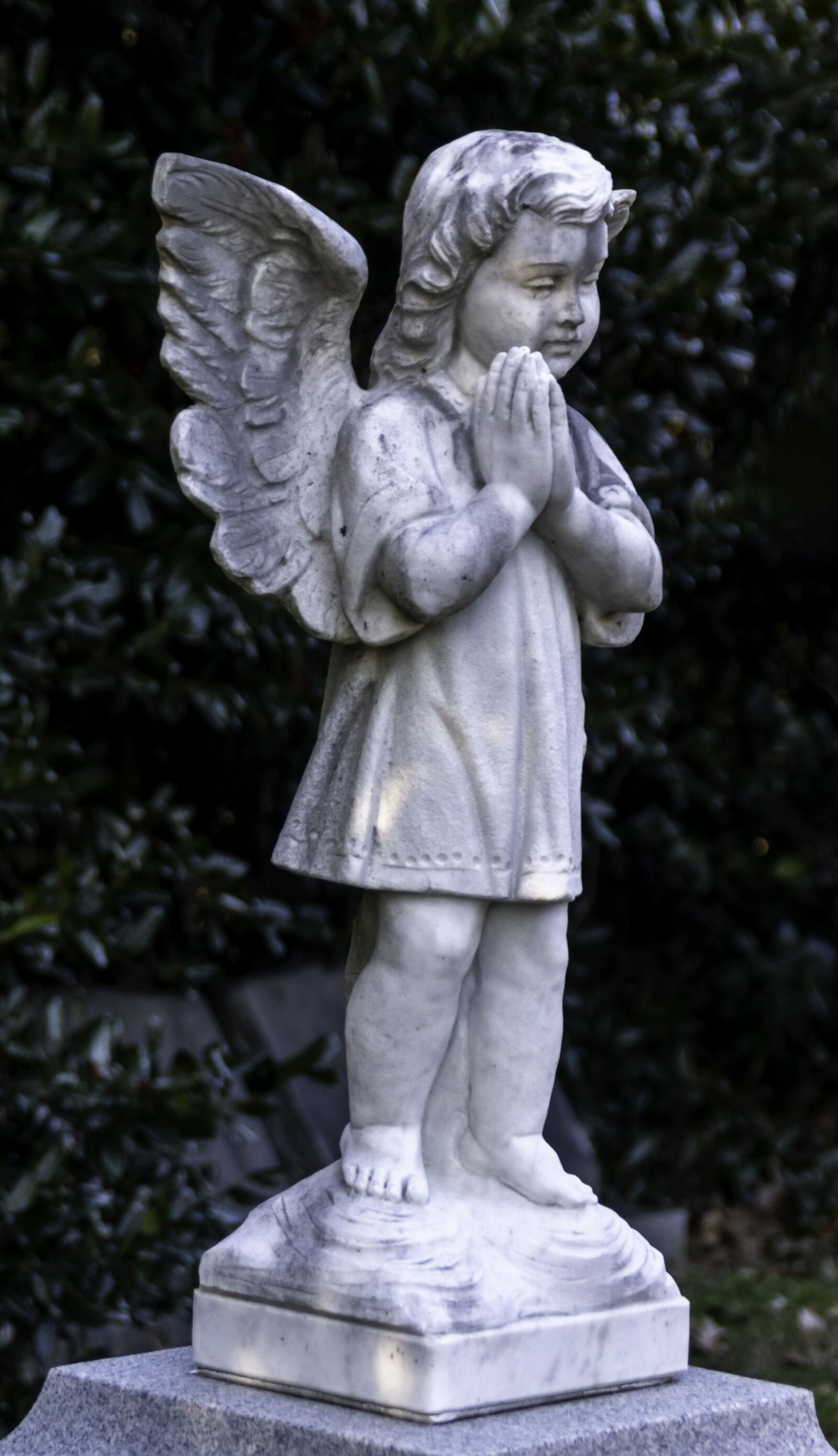 Sony SLT-A77 + Sony DT 18-200mm F3.5-6.3 sample photo. Angel, cemetery, monument photography