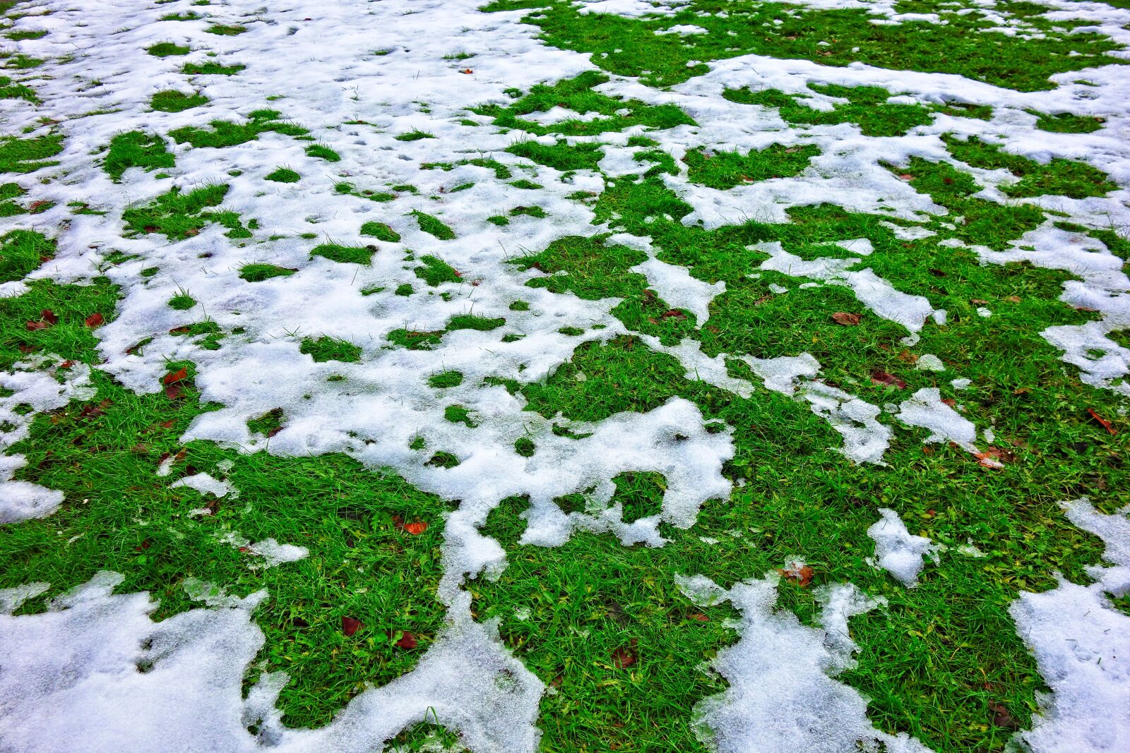 Sony Cyber-shot DSC-RX100 sample photo. Snow, melting snow, winter photography