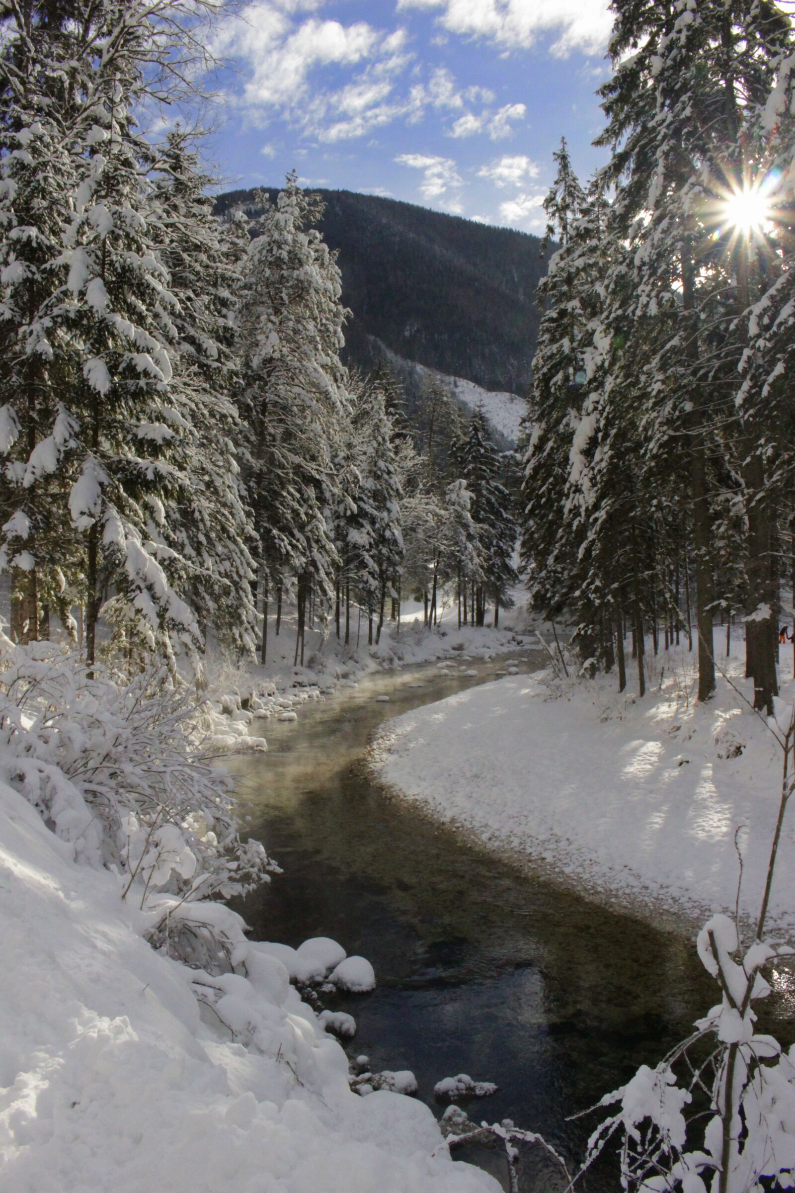 Canon EOS 100D (EOS Rebel SL1 / EOS Kiss X7) sample photo. Bach, snow, wintry photography