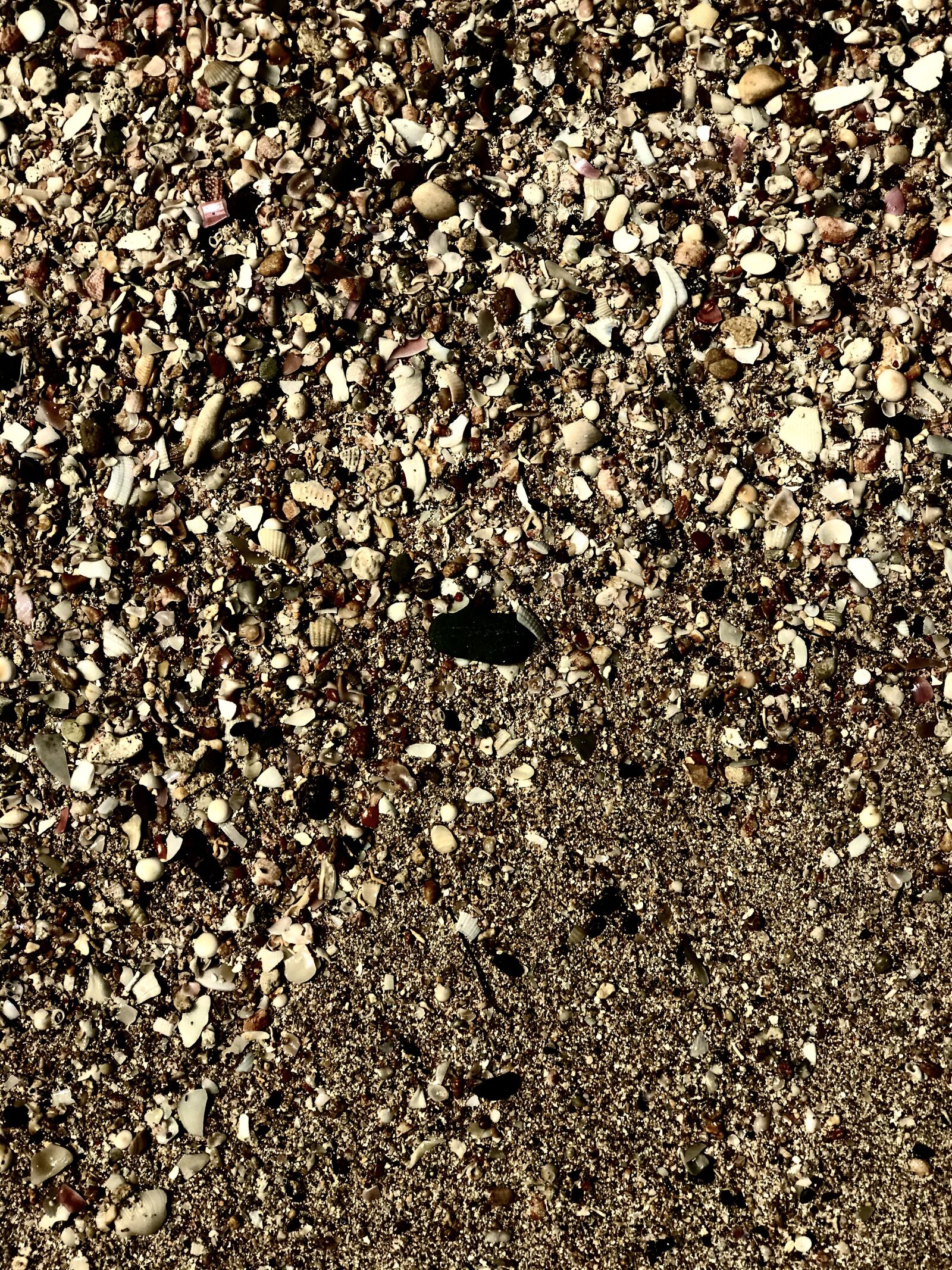 Apple iPhone 7 Plus sample photo. Sun, nature, sea photography