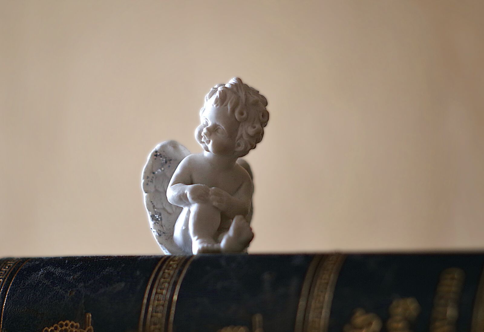 Pentax K-S2 sample photo. Angel, love, reading photography
